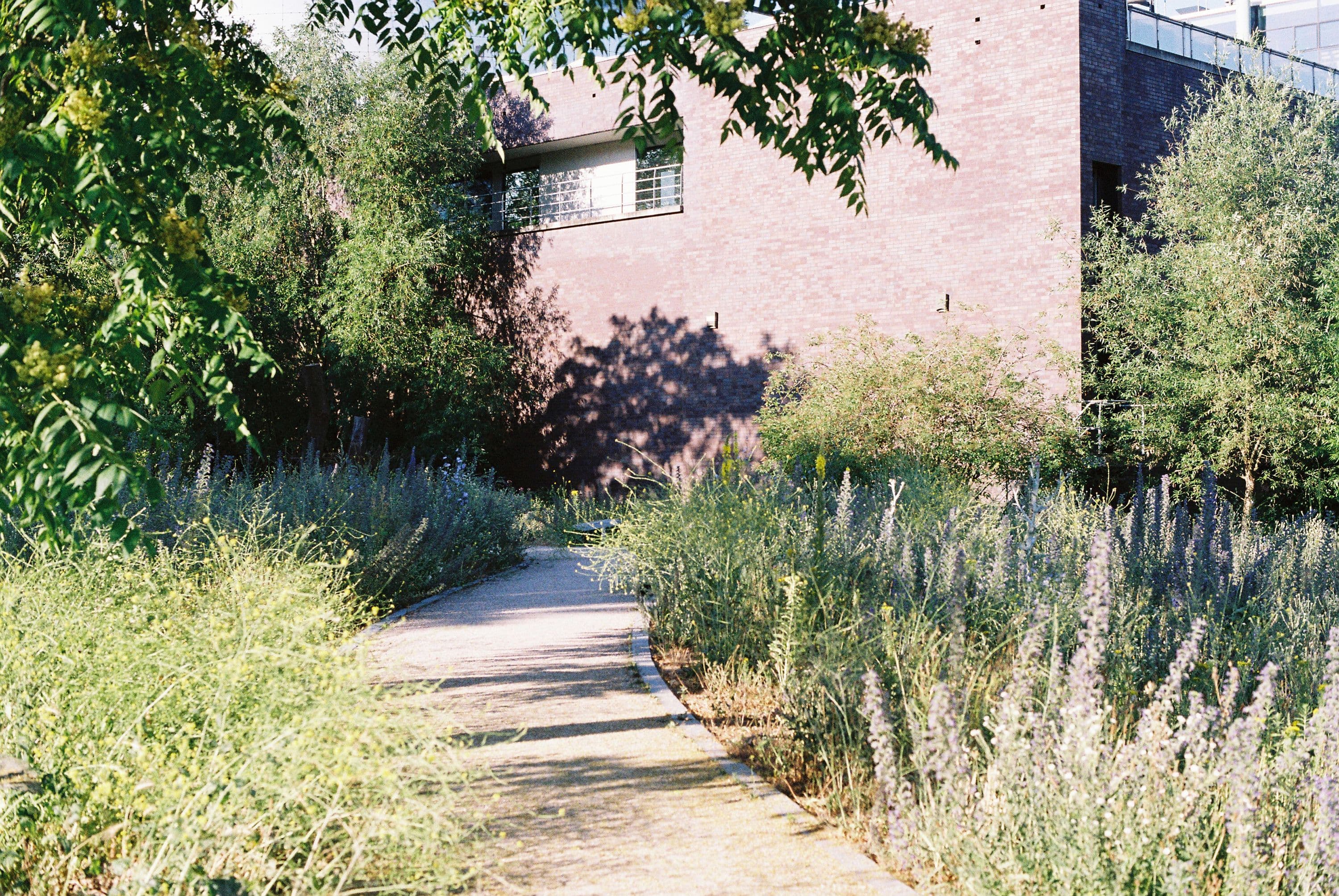 New Garden, 2023. Photo Petra van der Ree. 