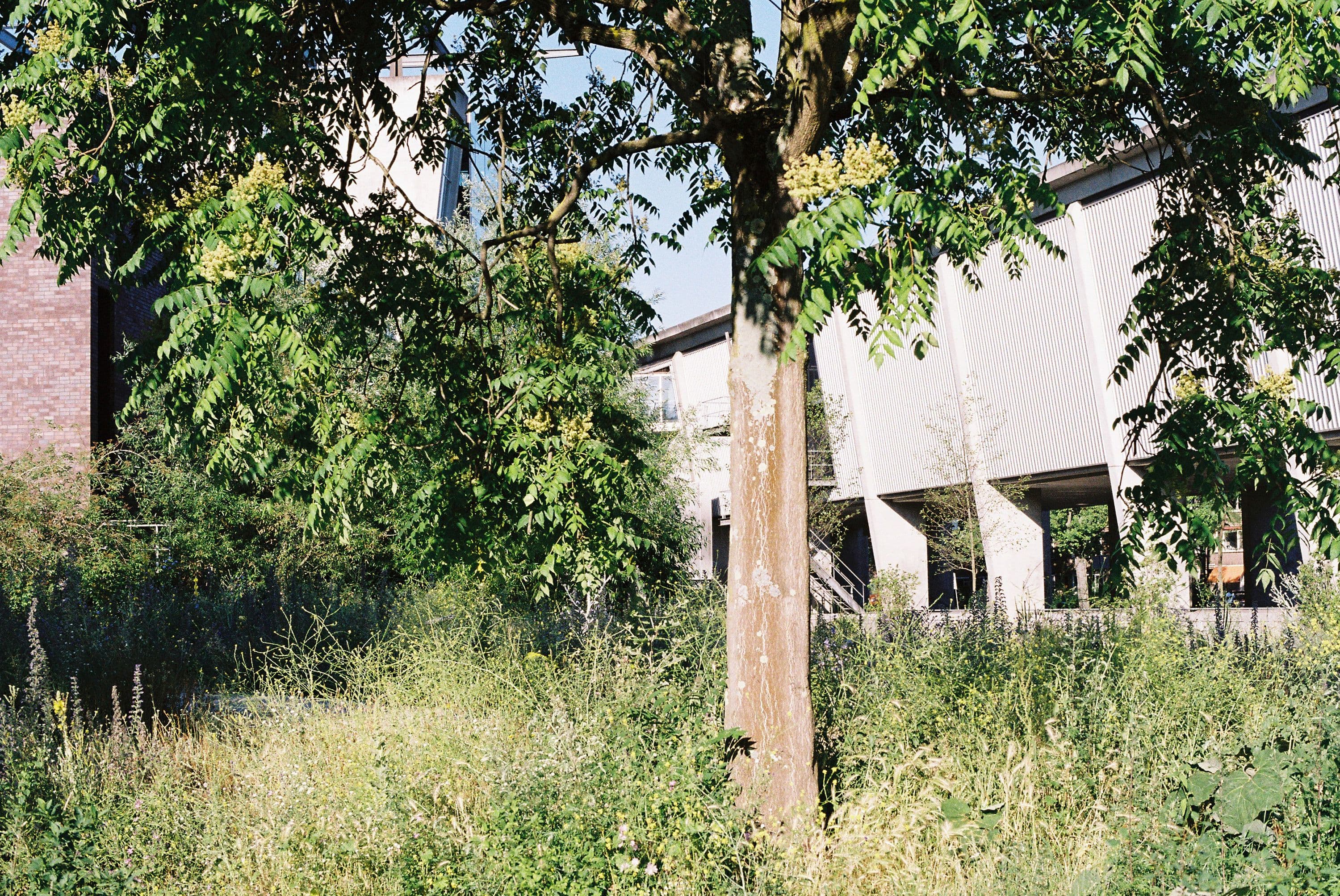 Nieuwe Tuin, 2023. Foto Petra van der Ree.  