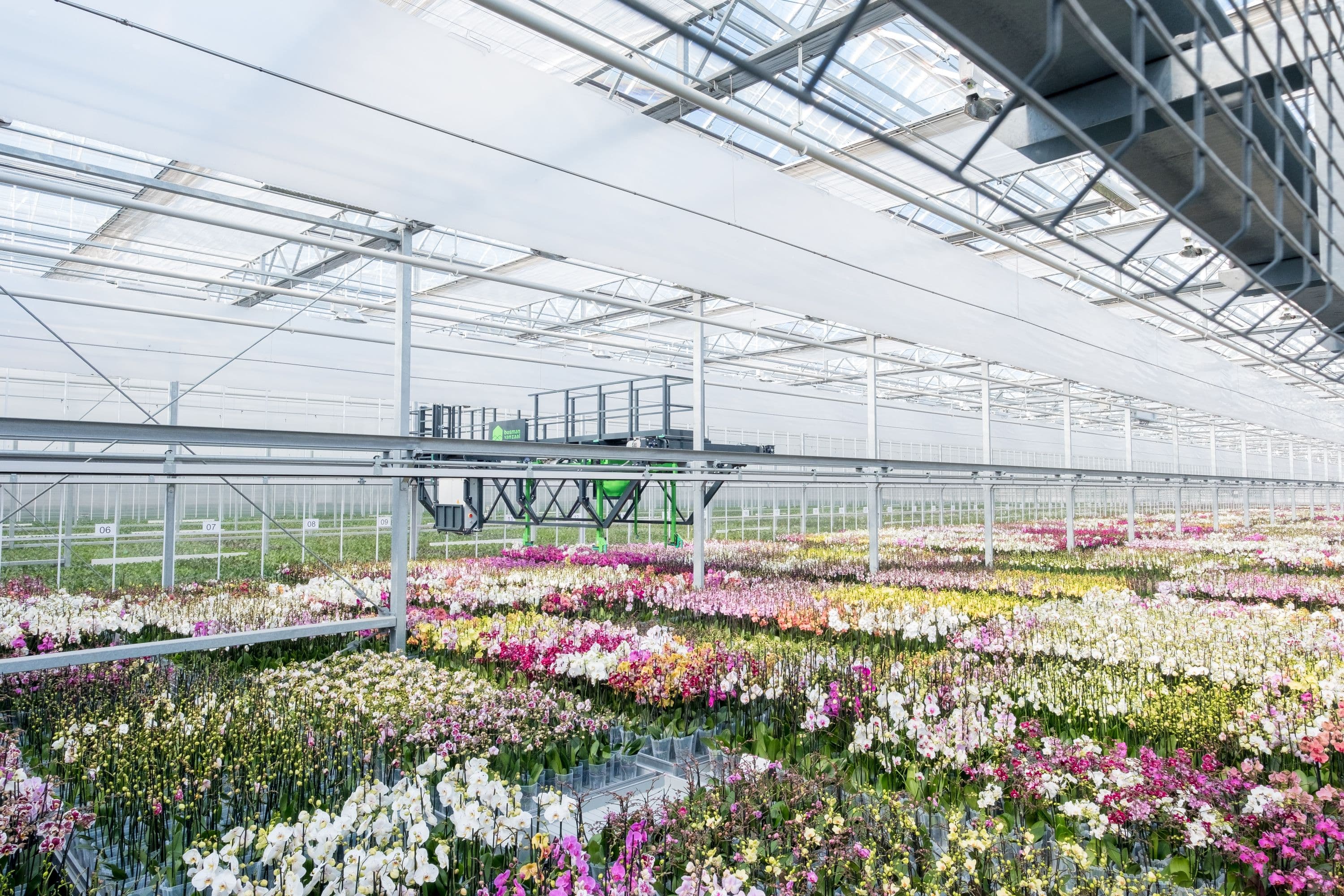 Greenhouse of Ter Laak Orchids, Wateringen. Photo Johannes Schwartz for Het Nieuwe Instituut.