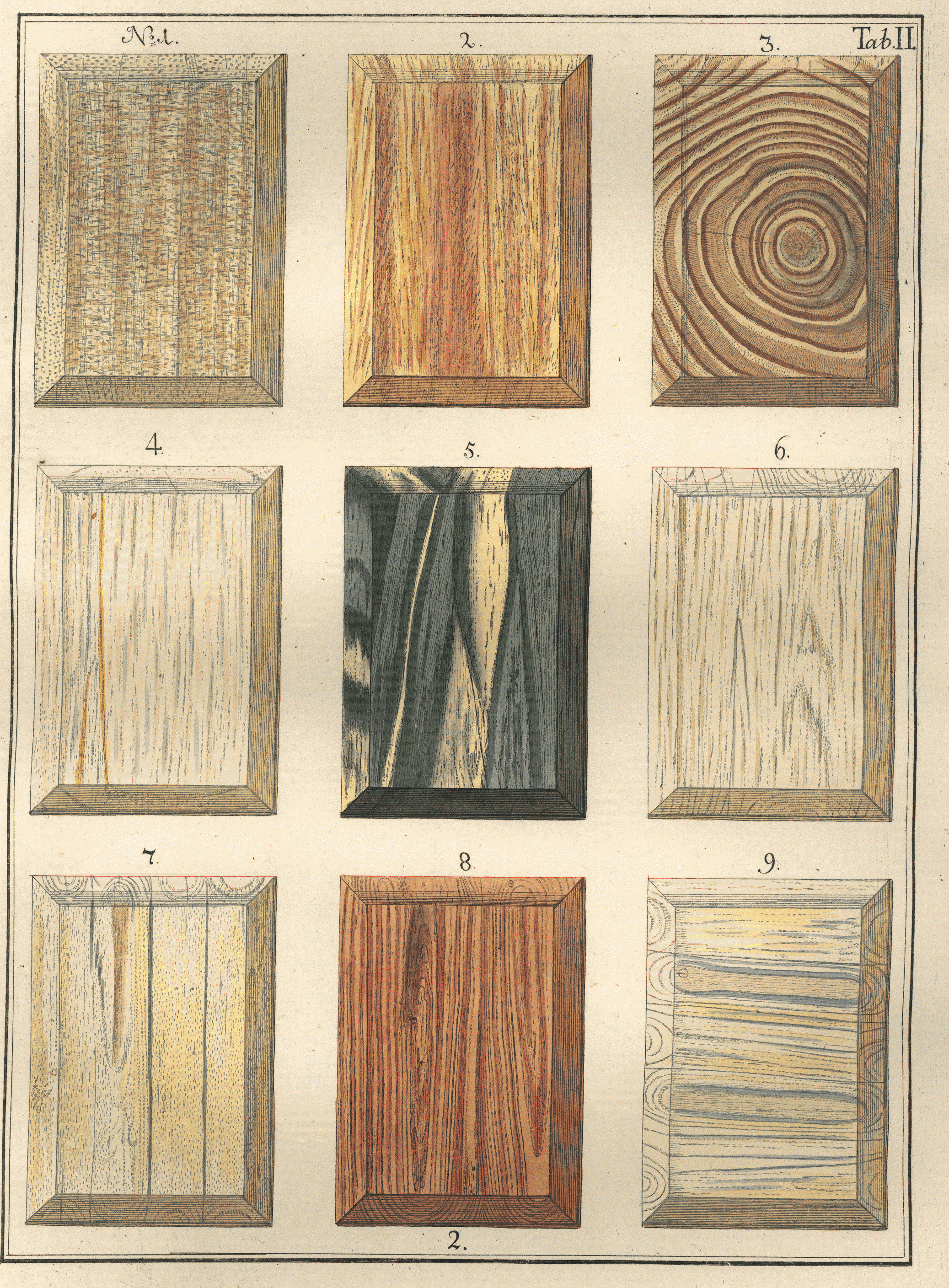 pagina uit het boek 'Houtkunde'. Martinus Houttuyn, 1773 