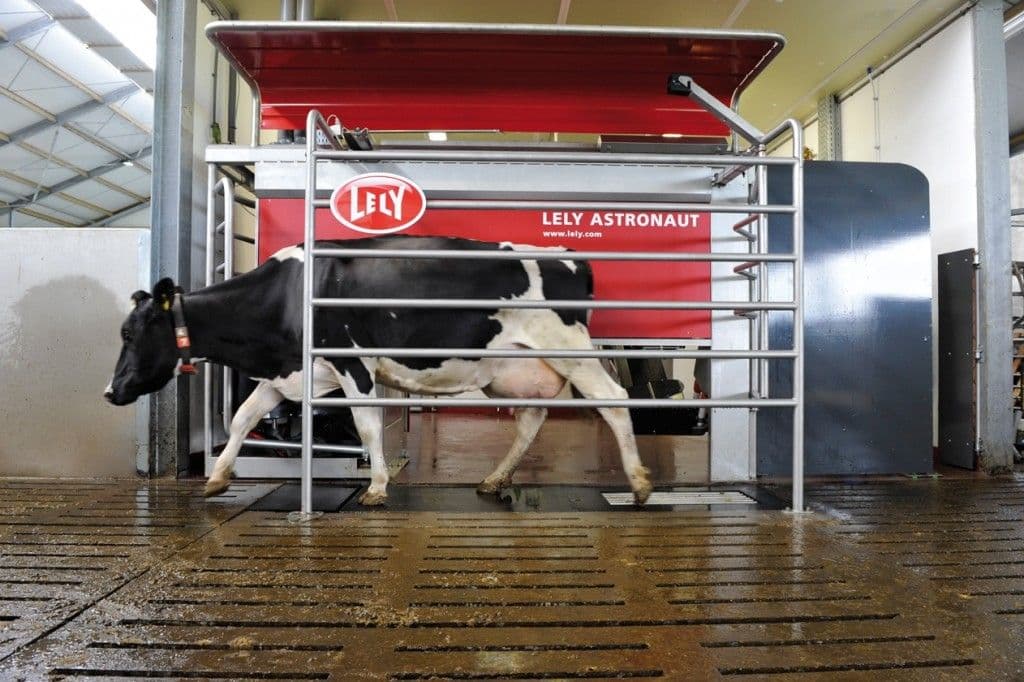 The Lely Astronaut, a milking robot developed by Lely—a Dutch family business specialised in agricultural automation—is promoted to “make farmers' lives farmers easier", freeing them from heavy labour. After the introduction of the milking… 