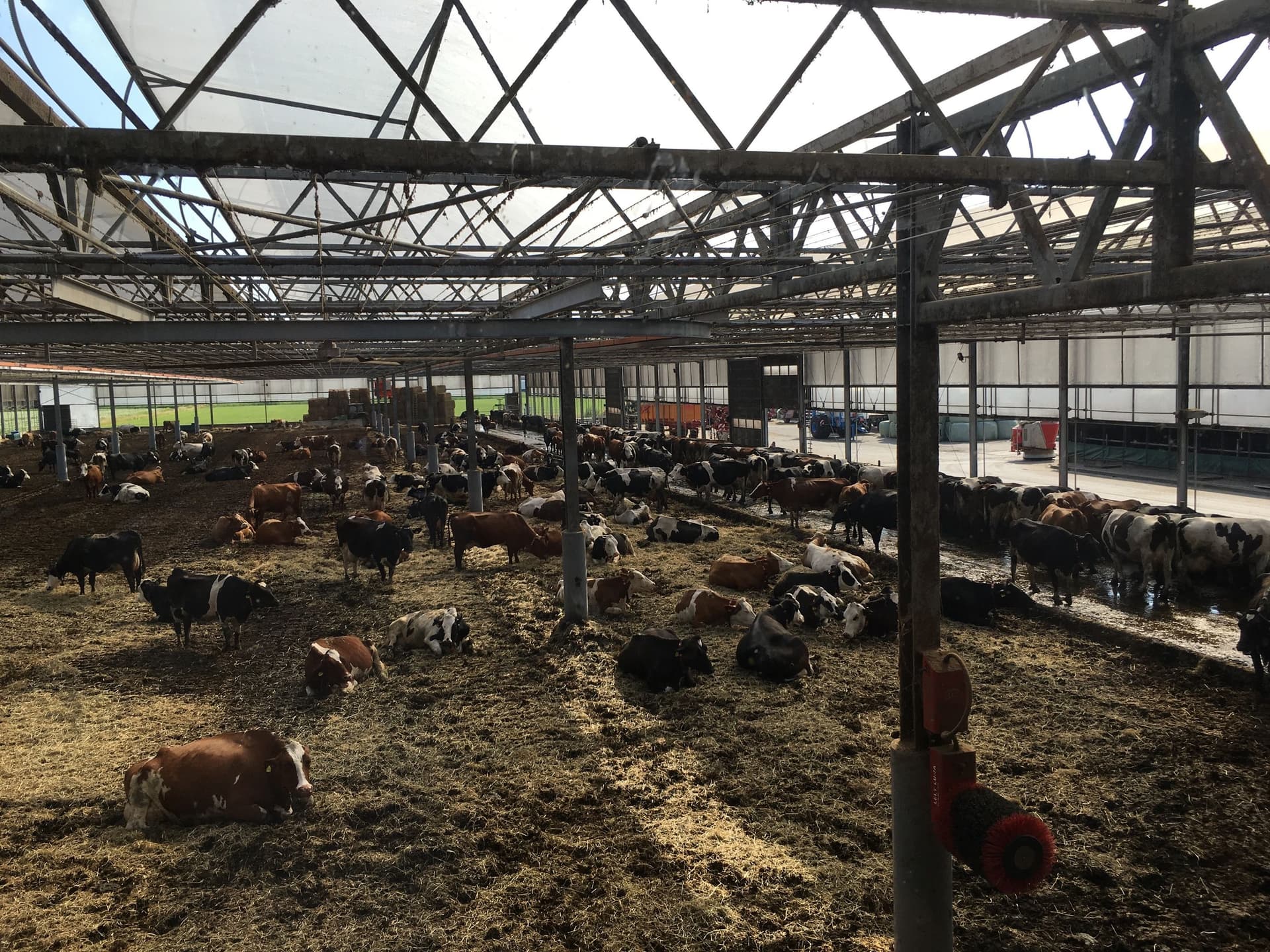 In some cases, though, increasing productivity takes a different turn, re-conceptualising the dairy farm’s organisation and typology. An example is Marc Havermans' dairy farm De Klaverhof, which houses 260 cows. 