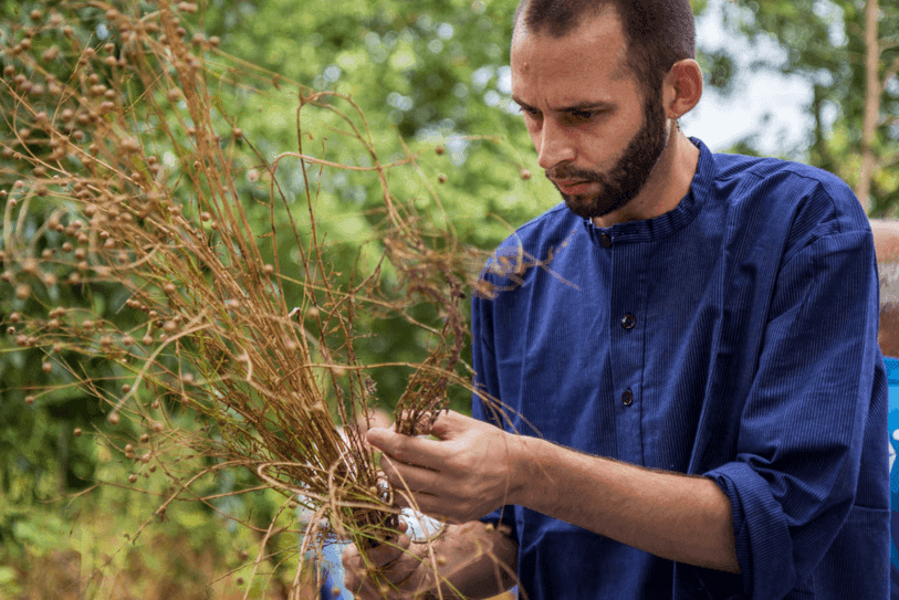 The Linen Project