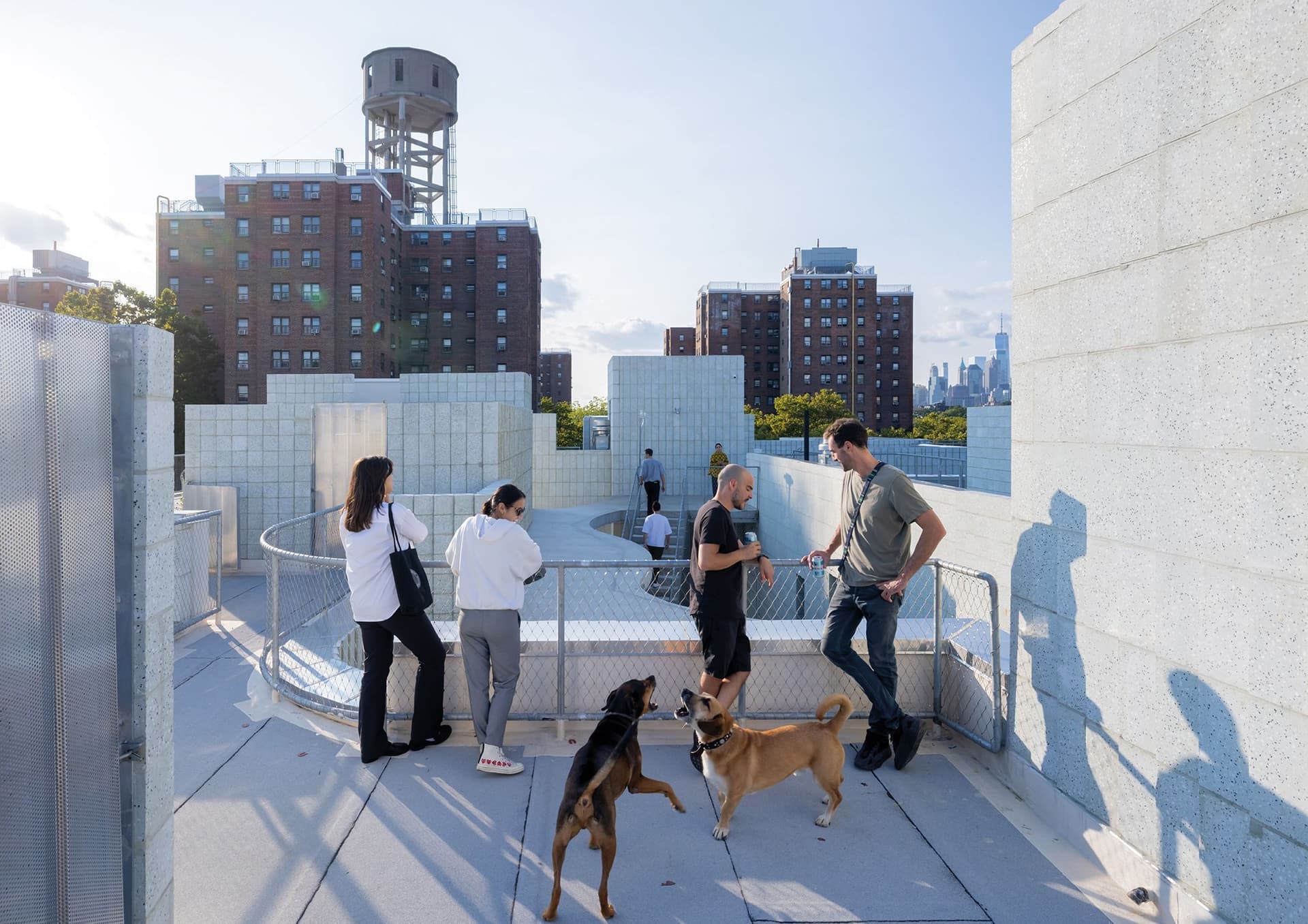 Rooftop looking out to NYC Housing Authority housing and the Downtown Brooklyn skyline. Photo: Iwan Baan.