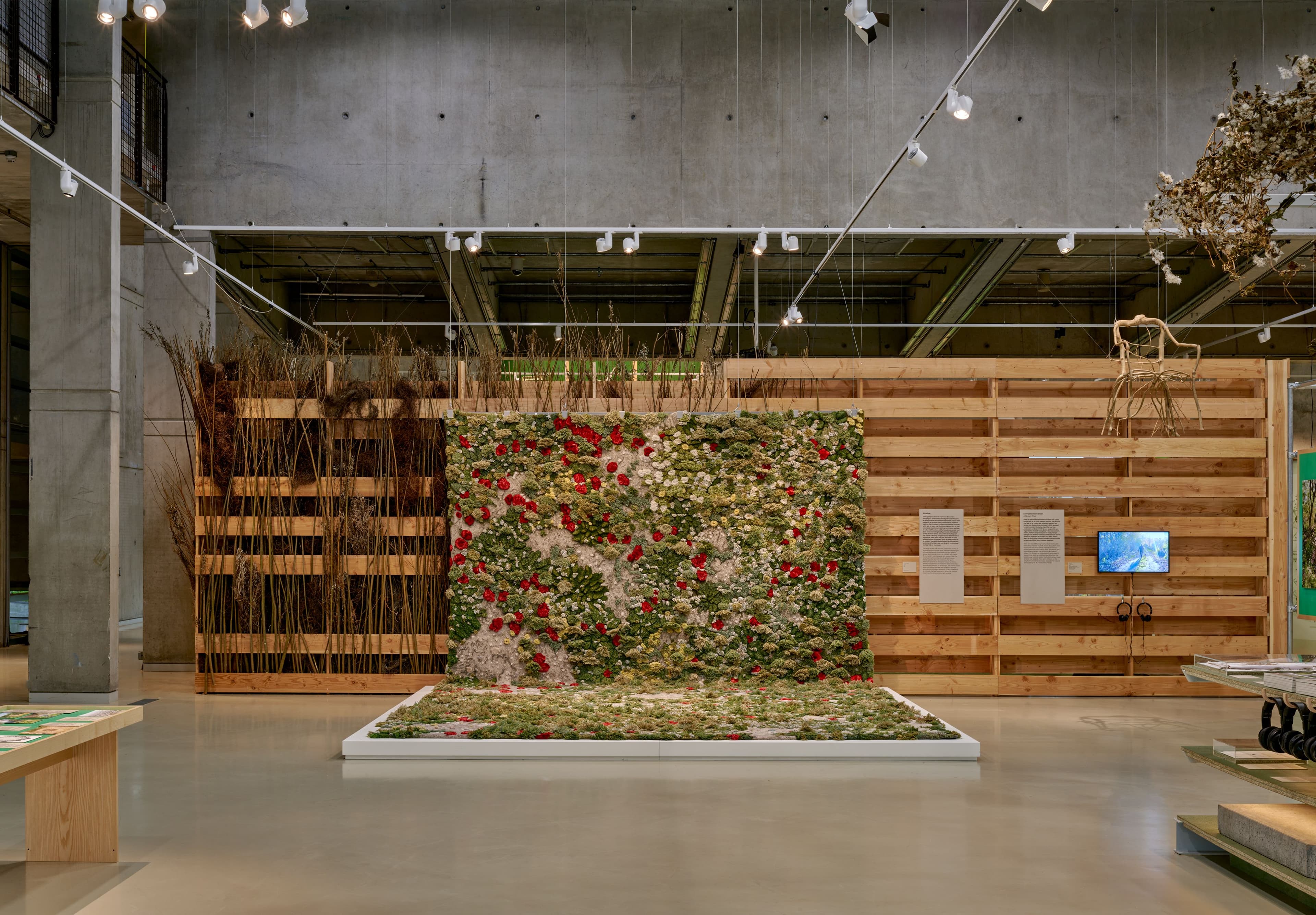 Meadow, 2023. Een werk van Alexandra Kehayoglou in de tentoonstelling Tuinen van de toekomst. Foto: Pim Top.