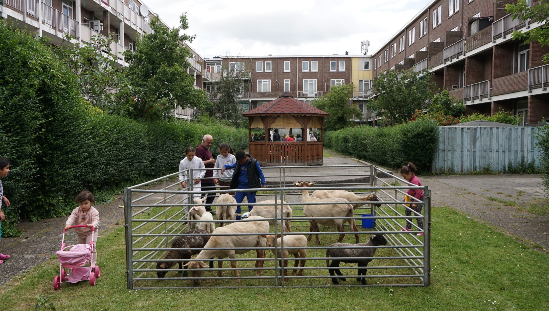 Wolproductie in Bospolder-Tussendijken. Beeld met dank aan Huis van de Toekomst