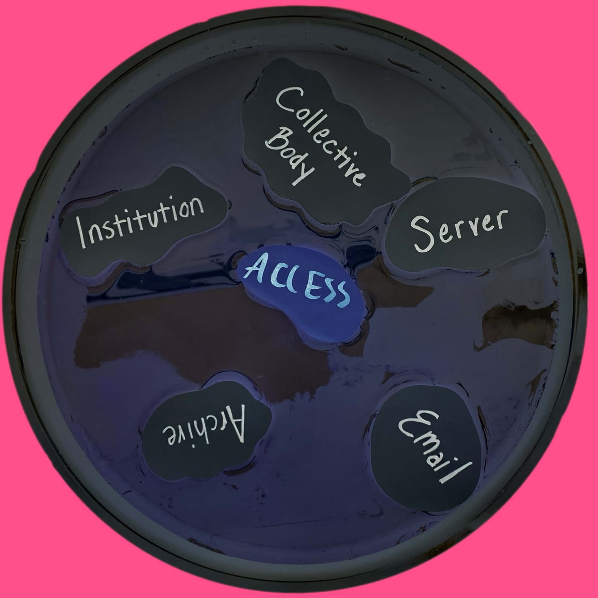 A dark liquid covers a large plate, on which cut-out paper pieces feature the terms Collective Body, Server, Institutions, Archive, and Email. These float around a paper piece with ACCESS written on it. The background is pink. 