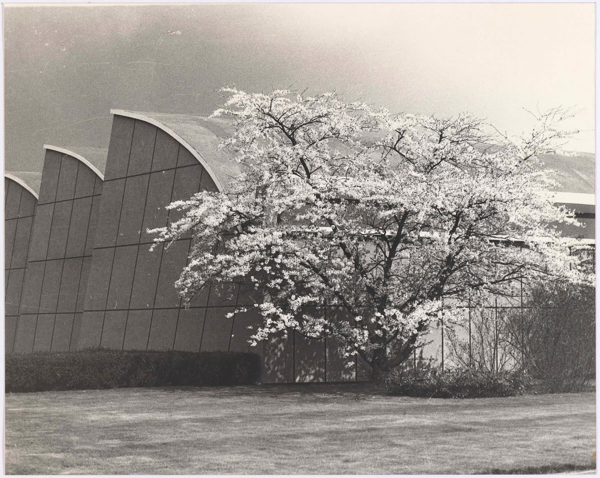 Corner south-west wing, Weverij De Ploeg in Spring, 1965-1970. Collection Textielmuseum. Photographer unknown 