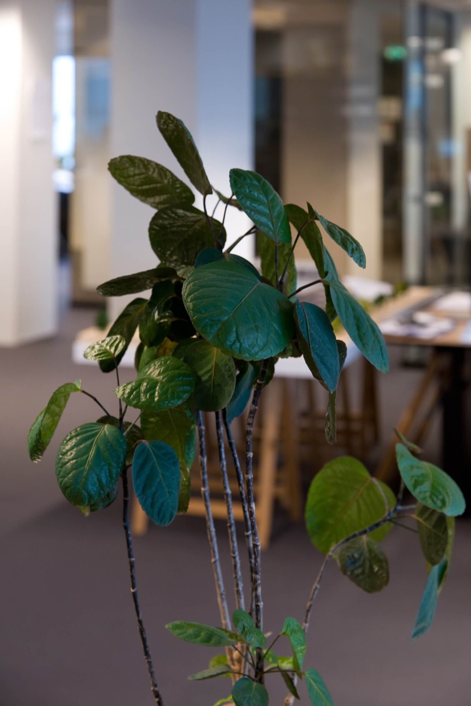 Powerhouse Company. Foto Petra van der Ree 