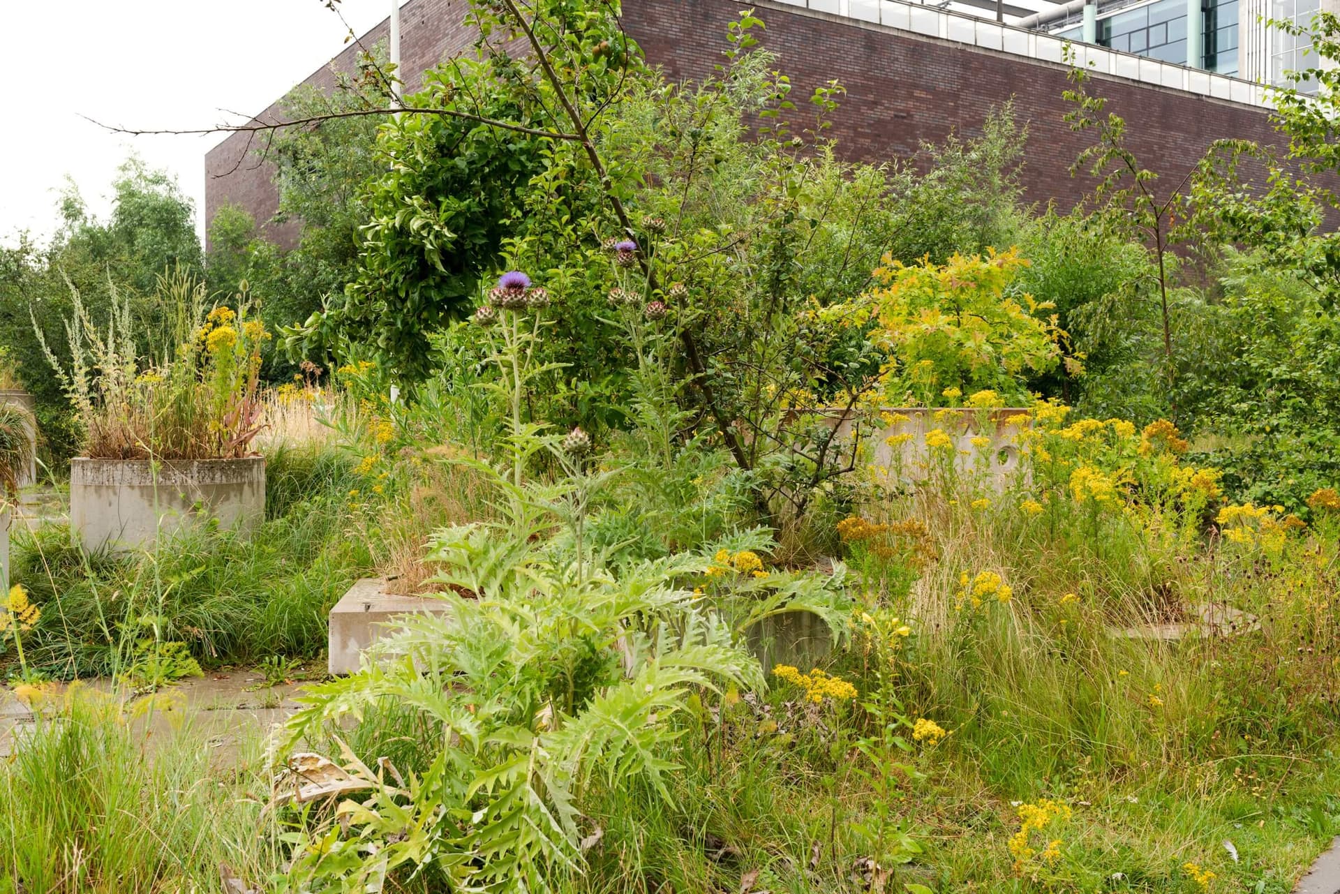 The New Garden, July 2019. Photo: Johannes Schwartz. 