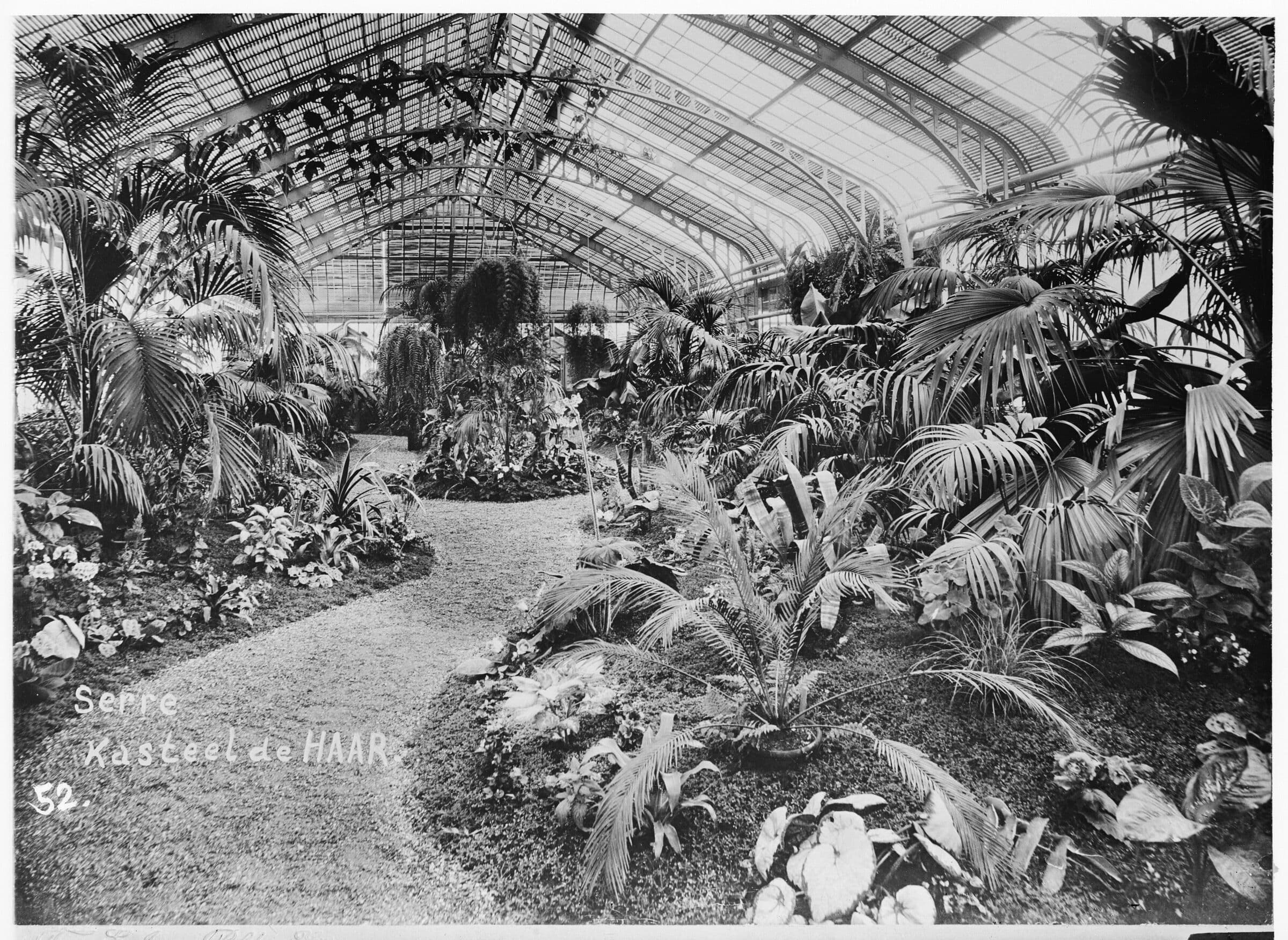 Glasshouse Kasteel de Haar, Haarzuilens. Glass plate negative, collection Het Nieuwe Instituut, Kasteel De Haar archive