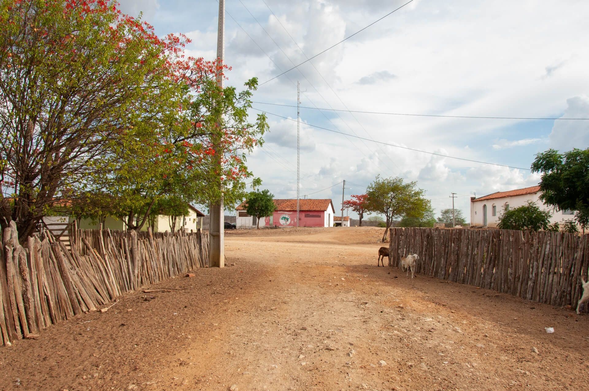 25 de maio settlement. MST - Movement of landless workers. Quieto, Madalena, Ceará. Photo: O grupo inteiro. 