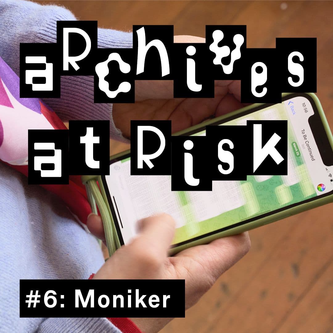Archives at Risk 6