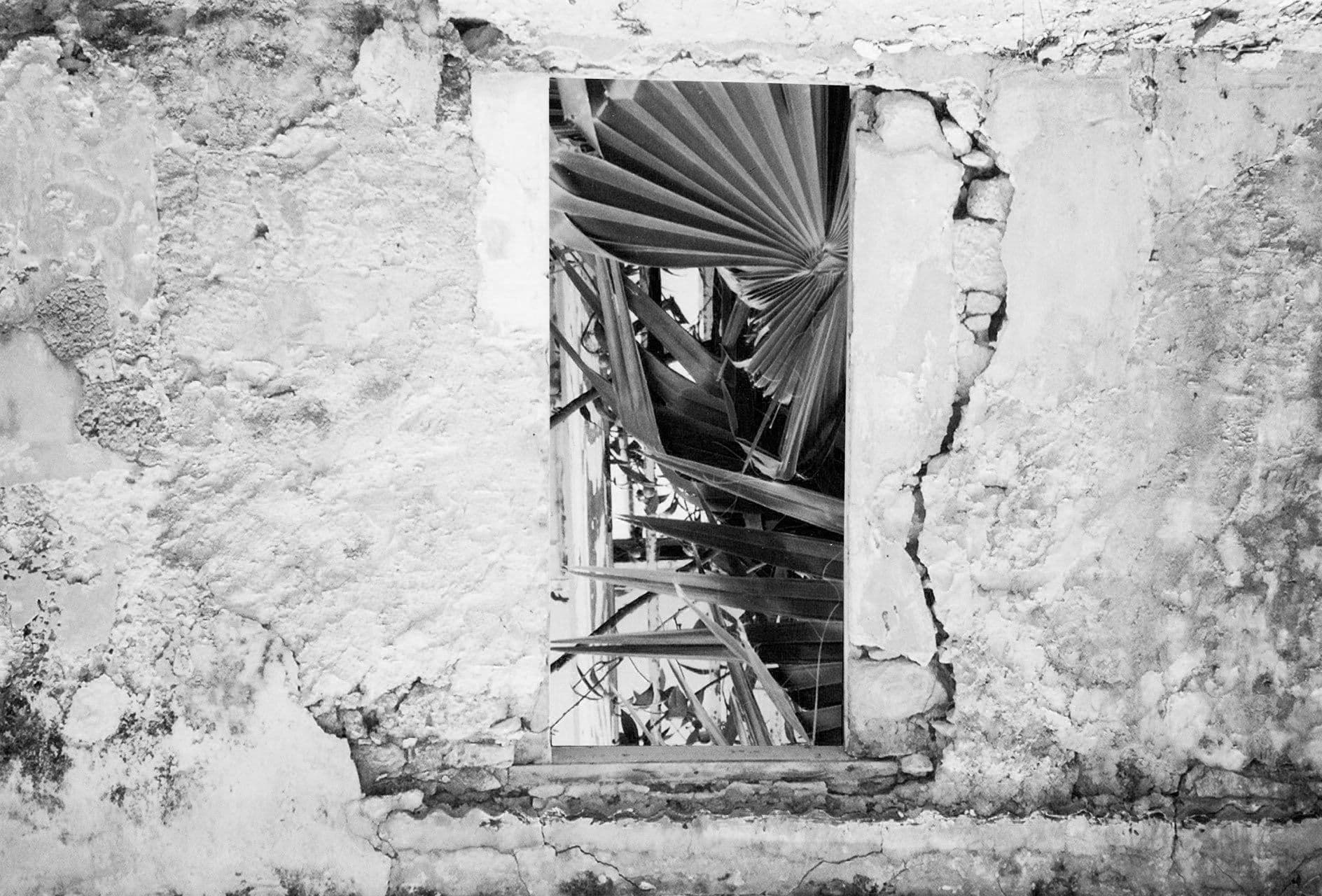 Awakening the Archive. Image: Serana Angelista
