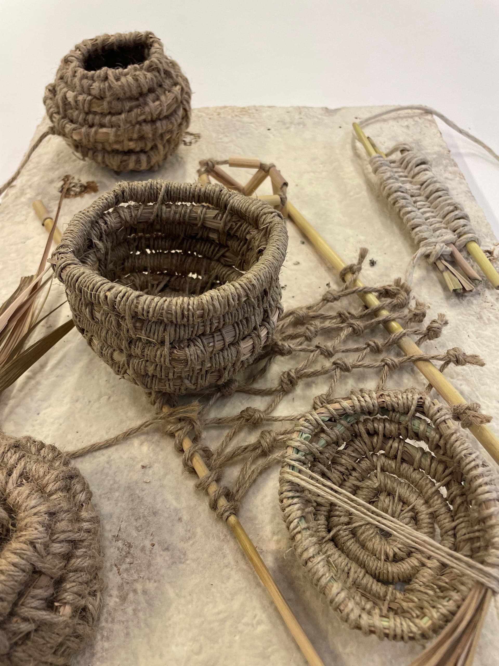 Sporenmand. Foto: Rebecca Schedler.