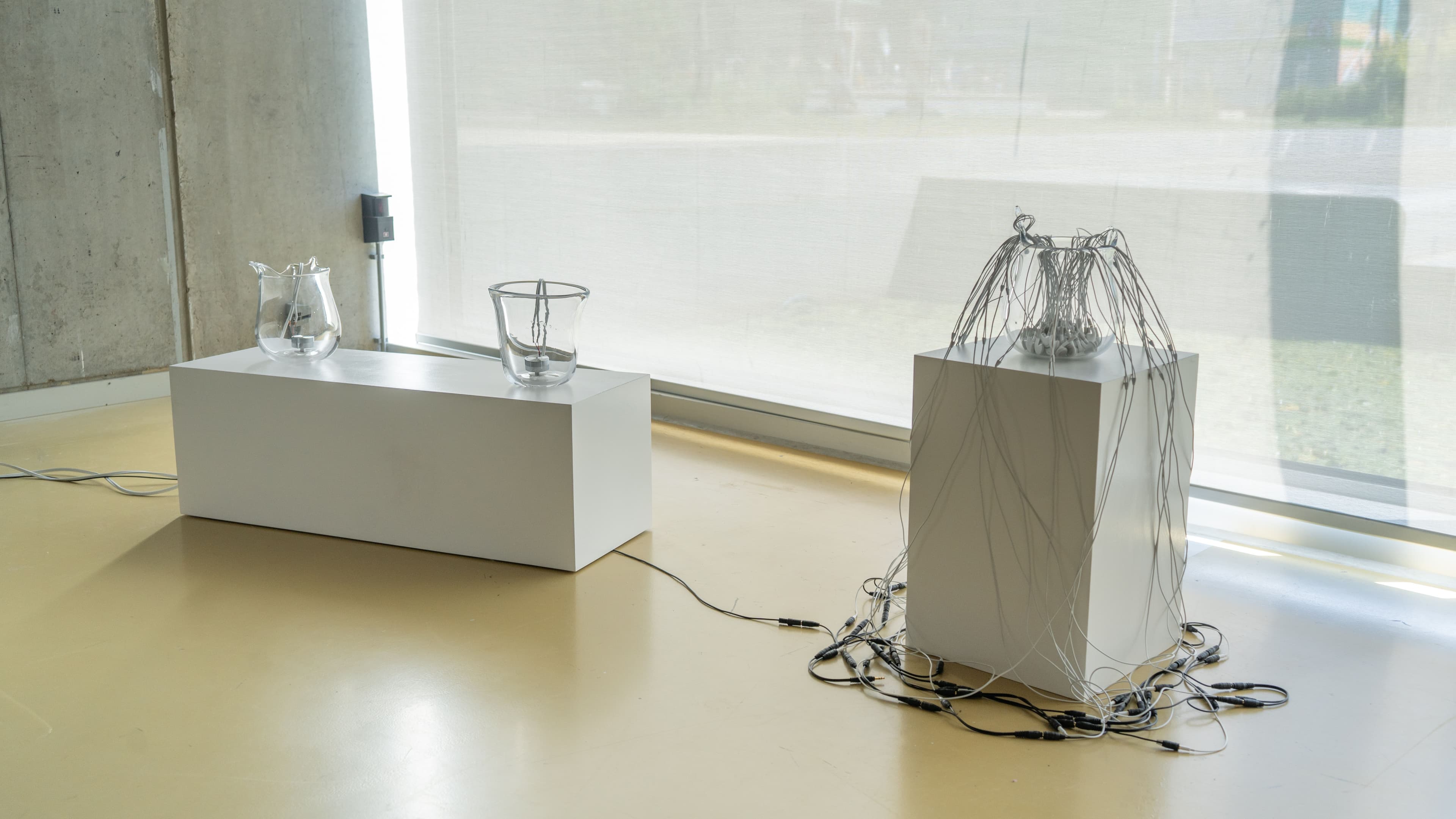 unbound echo (2025) by Aimée Theriot. Photo: Kleoniki Stanich