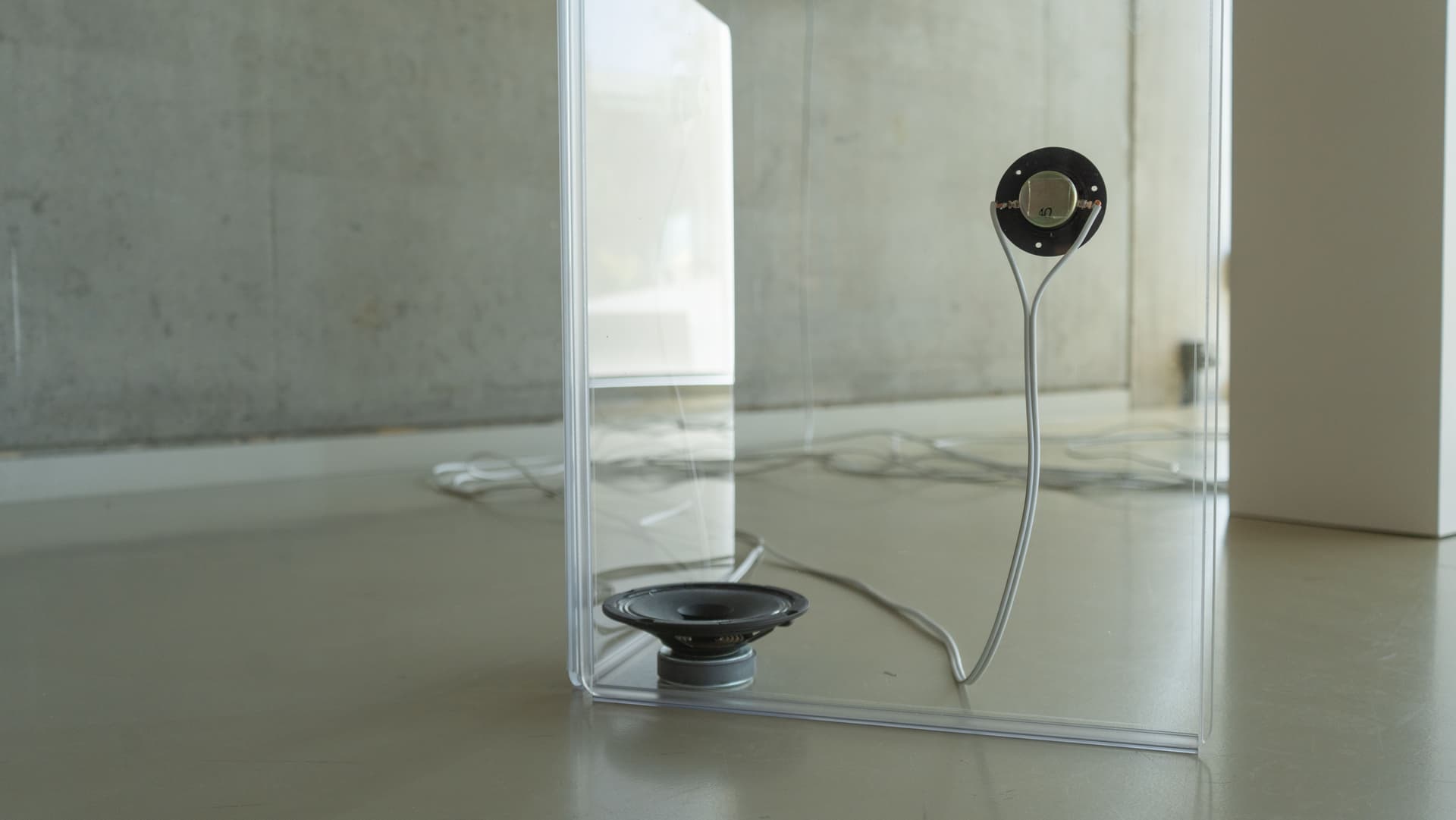 unboung echo (2025) by Aimée Theriot. Photo: Kleoniki Stanich