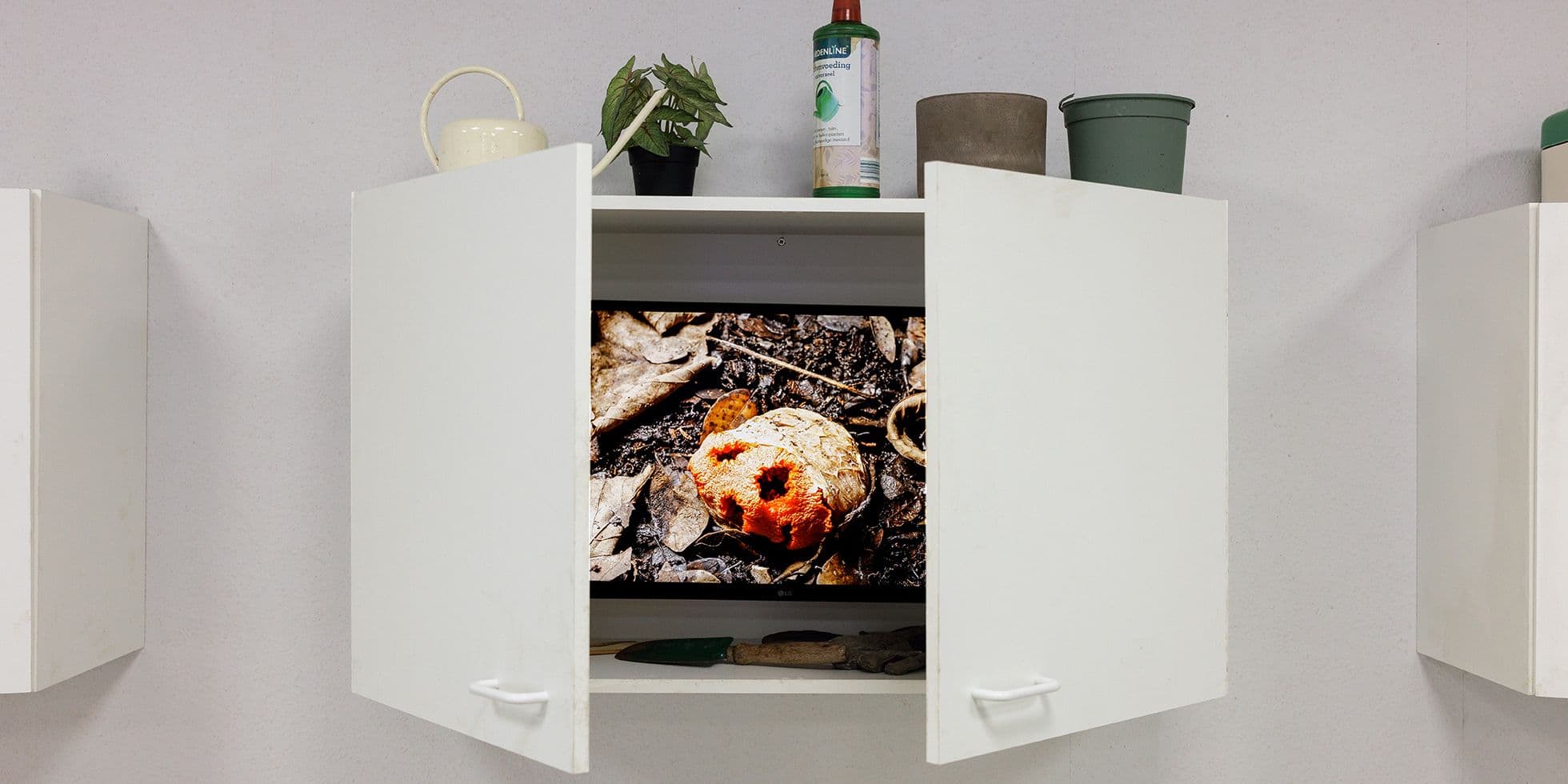 FUNGI: Anarchist Designers. Photo: Aad Hoogendoorn.