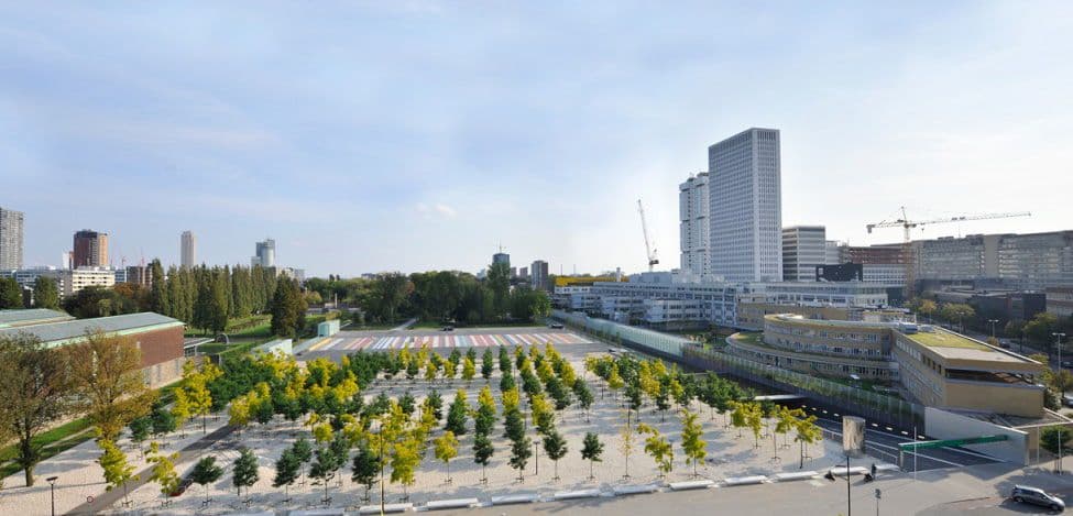  Museumpark, photo Paul de Ruiter. Source: www.igg.nl 