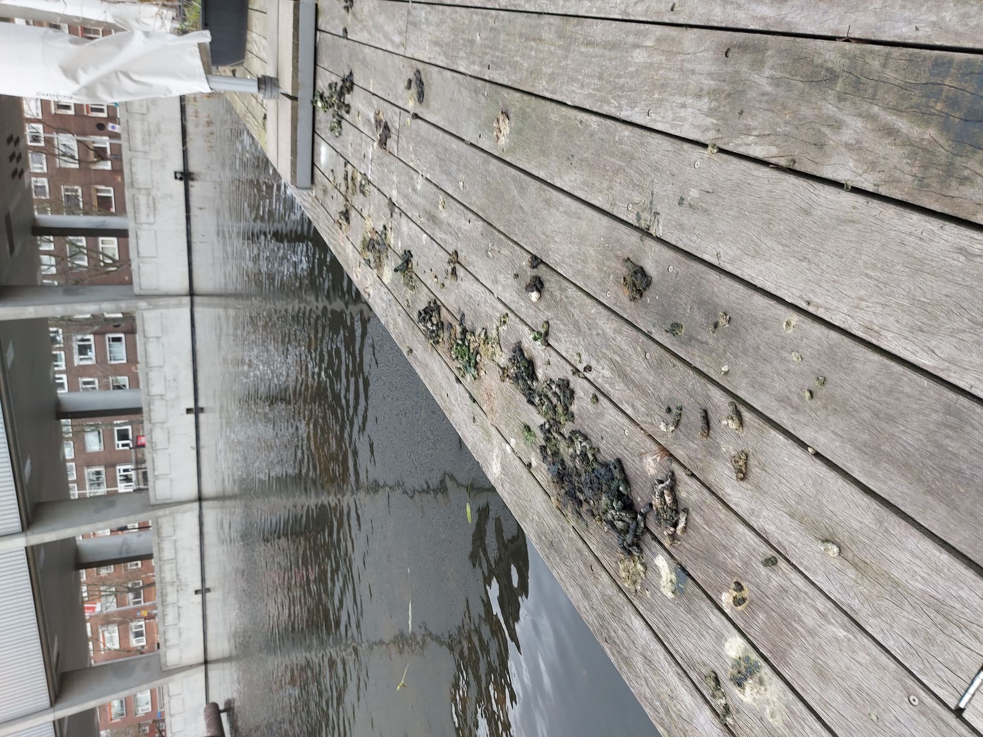 A photo of goose droppings on the terrace of Het Nieuwe Instituut, rotated counterclockwise.