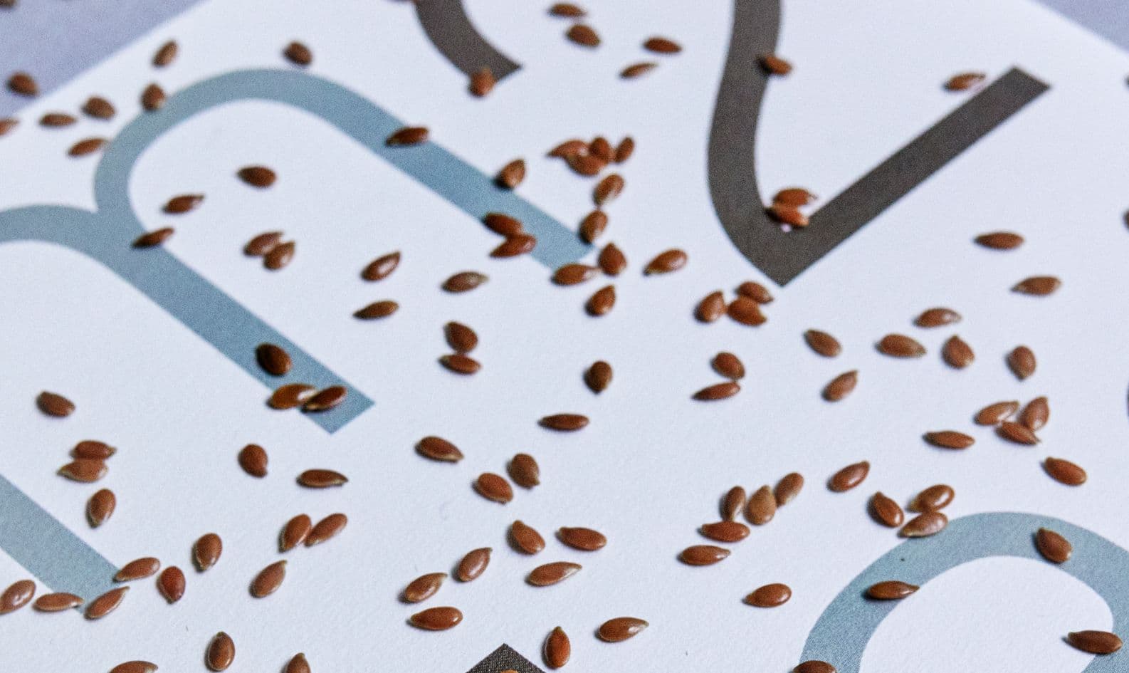 Seeds of the 1m2 flax kit in detail. Photo: Tarona. 