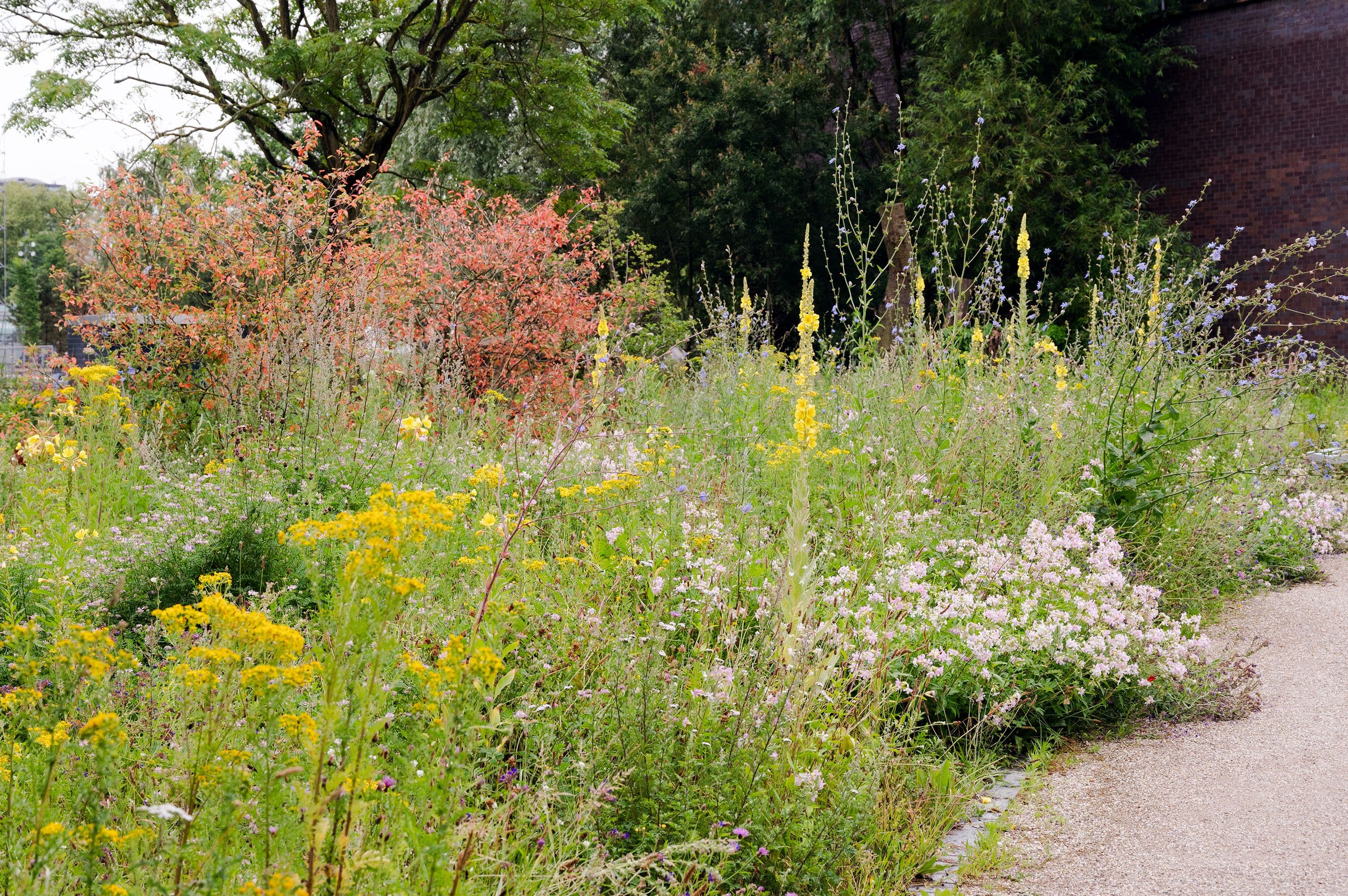 New Garden, 2023. Photo Petra van der Ree