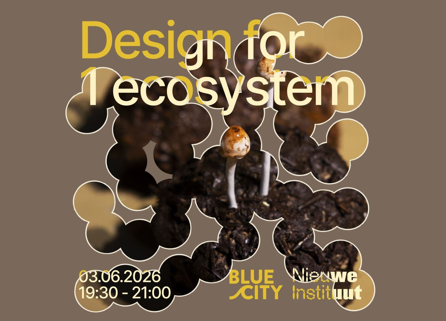 Design for 1 Ecosystem.