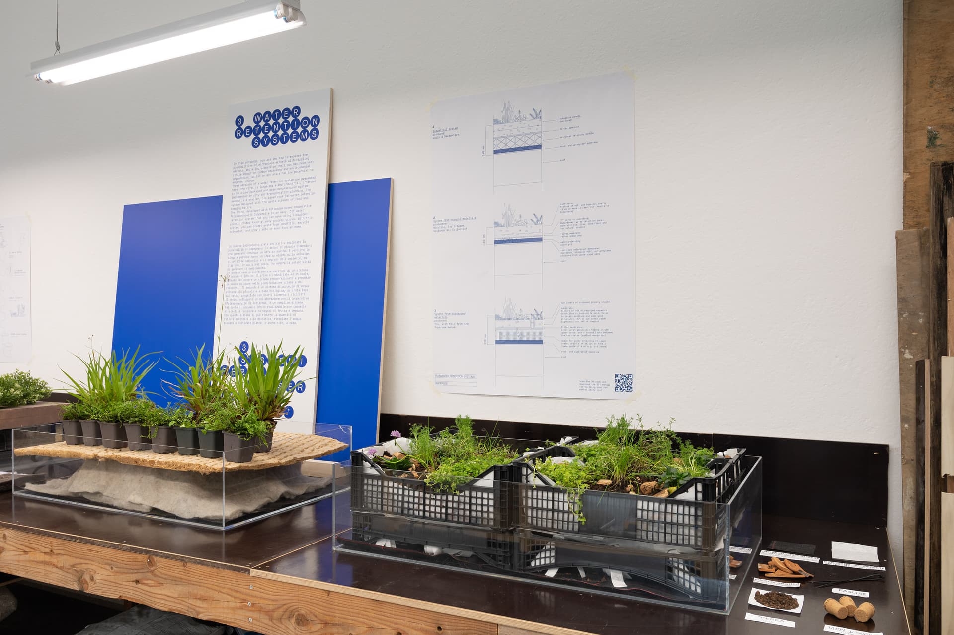 Working desk with plants in crates.