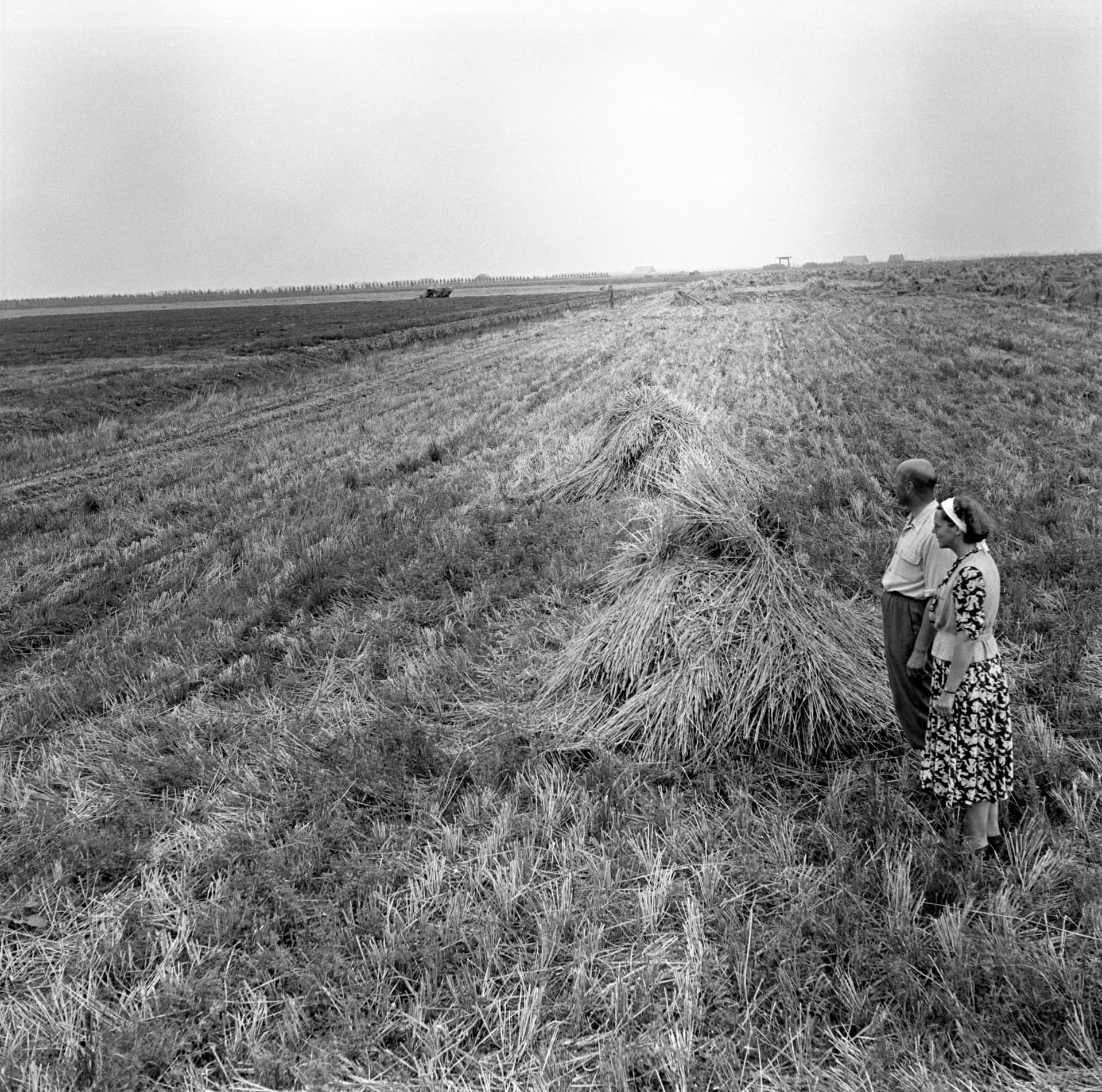  Sicco Mansholt and his wife Hetty in Wieringermeer, 1950. Credits: Maria Austria Institute/ Photo: Sem Presser 