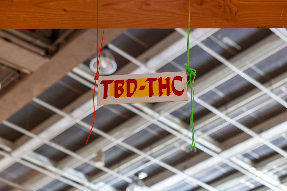 TBD-THC, de titel van het programma, geschreven op een bord dat aan het plafond hangt. TBD-THC in Nieuwe Instituut, 2022. Foto: Santiago Pinyol