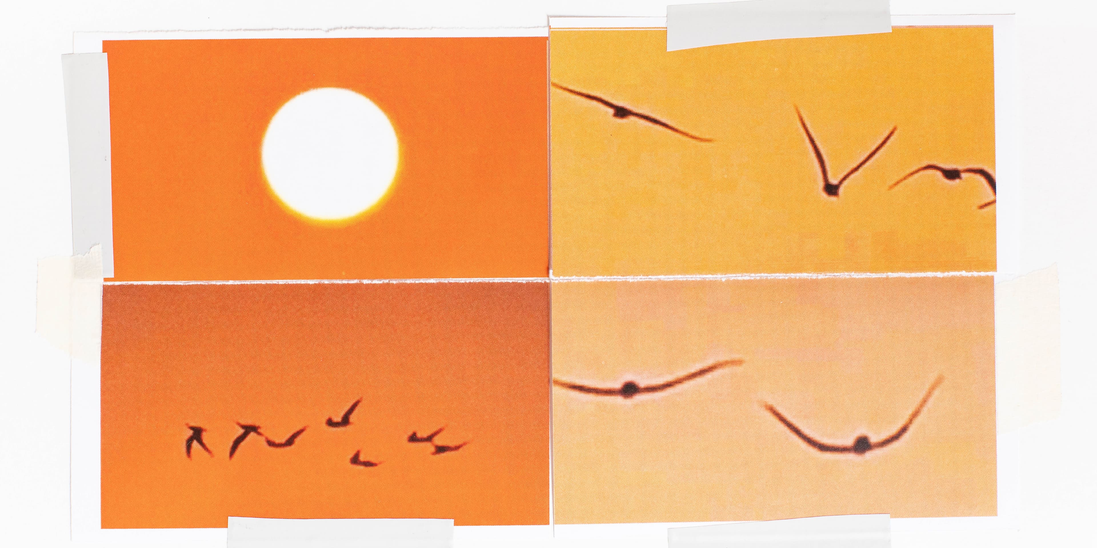 Tilting Axis. Graphic design: Johanna Himmelsbach