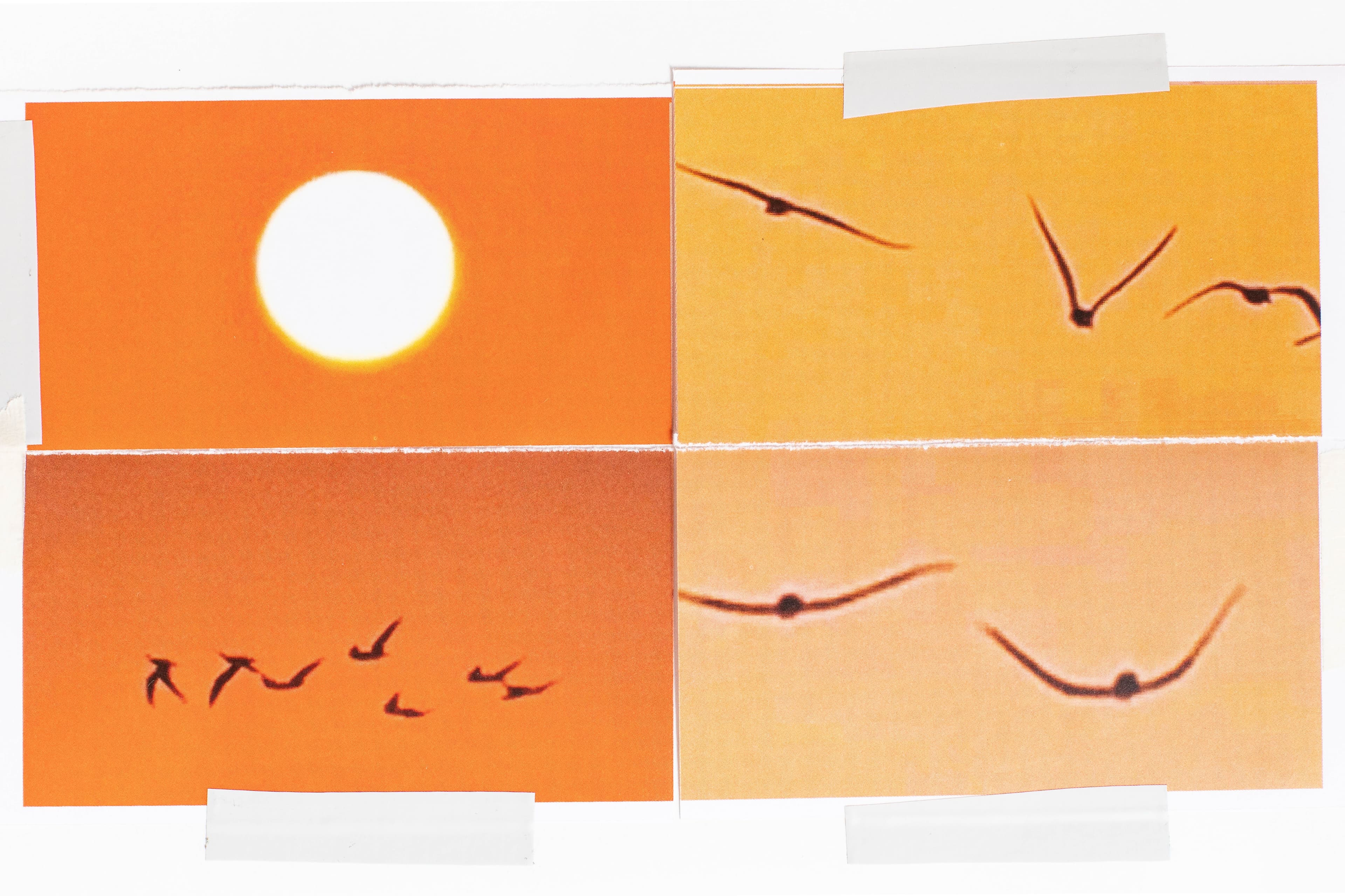Tilting Axis. Graphic design: Johanna Himmelsbach