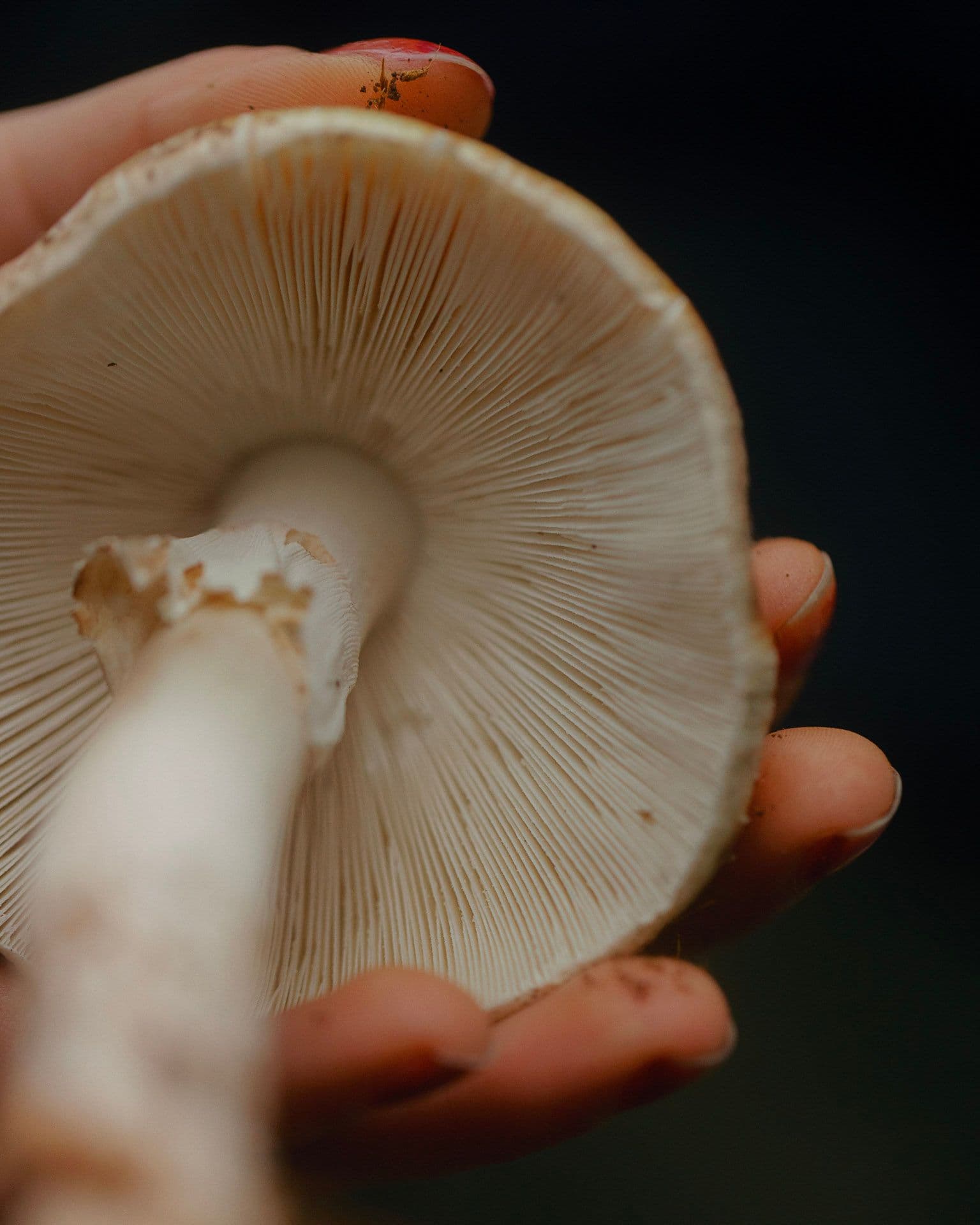 Foto: Roel Riphagen.