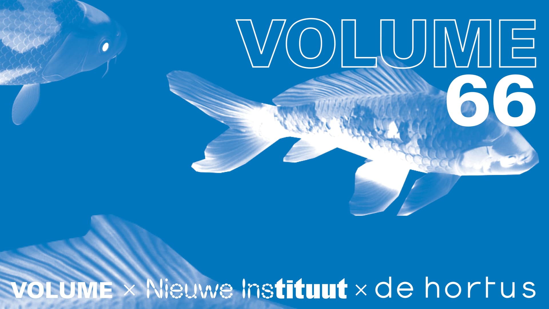 Graphic image of the launch of Volume 66, with a blue background, white lettering and fishes.