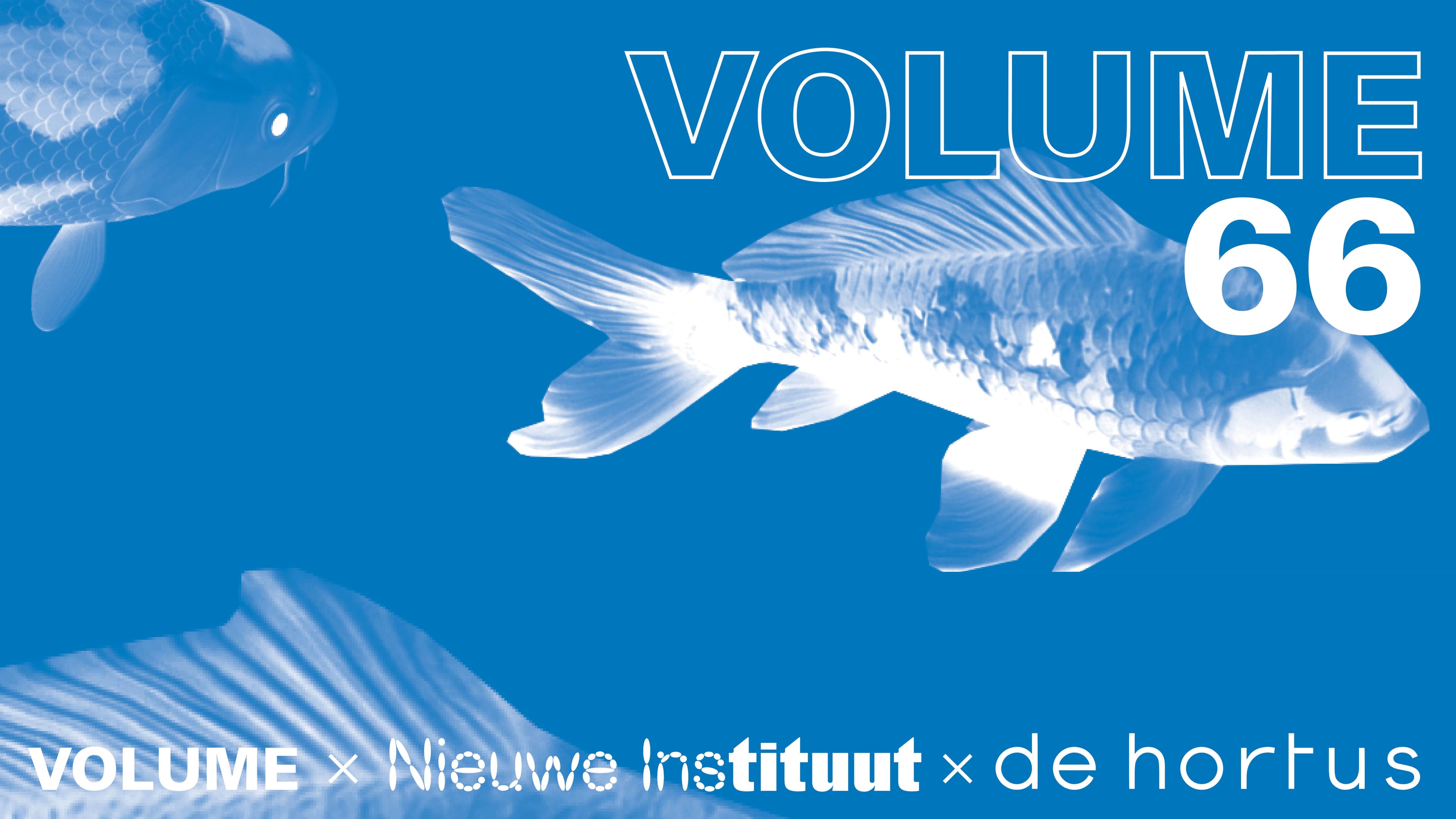 Grafische afbeelding voor de lancering van Volume 66, met een blauwe achtergrond, witte letters en vissen.