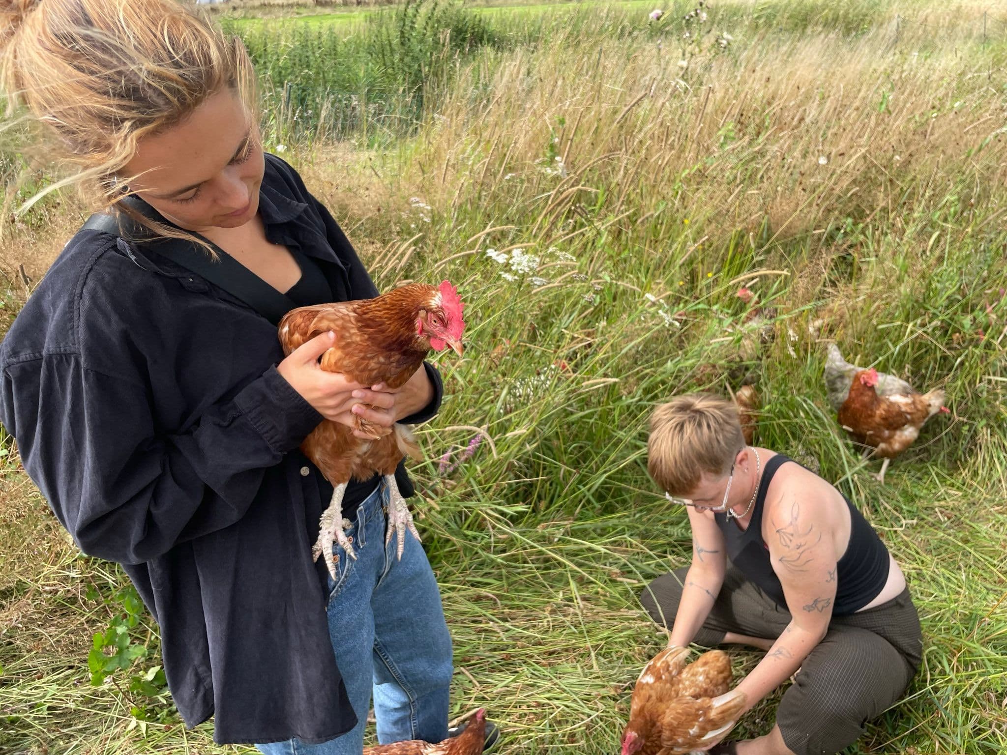 Zoöp Connecties. Foto: Kapinga Muela Kabeya.