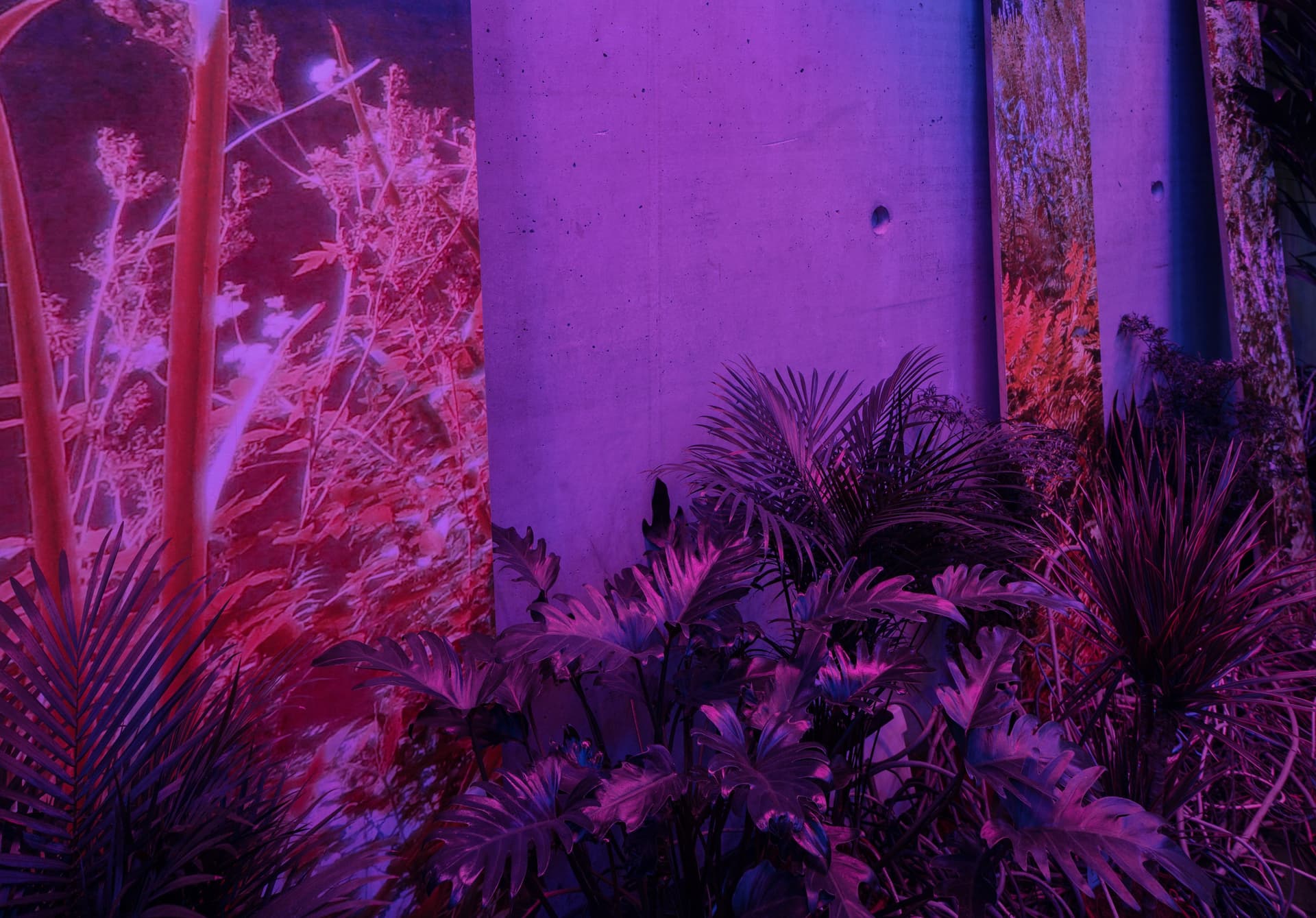 Garden of Machines. Photo Johannes Schwartz 