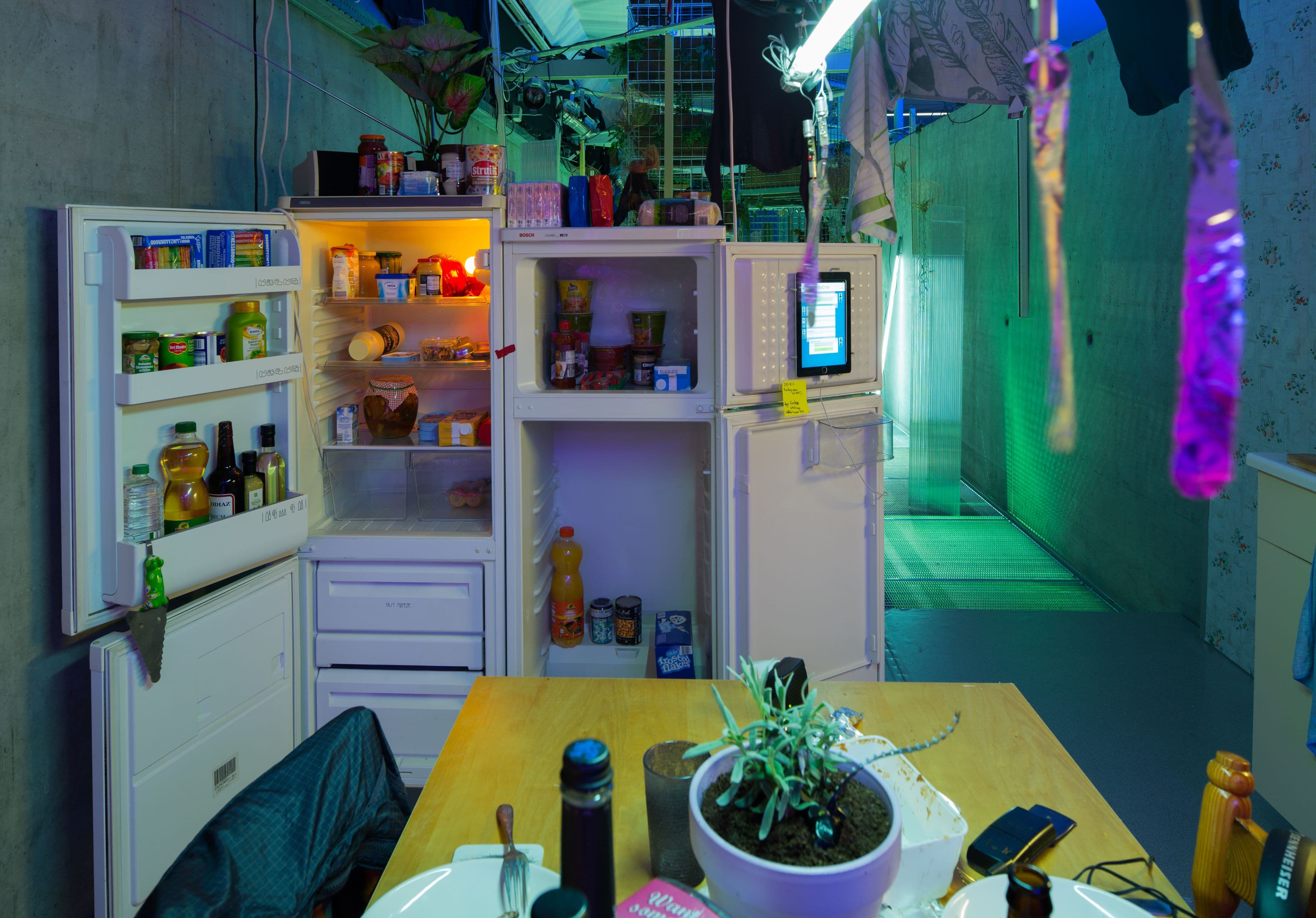 Garden of Machines. Photo Johannes Schwartz 