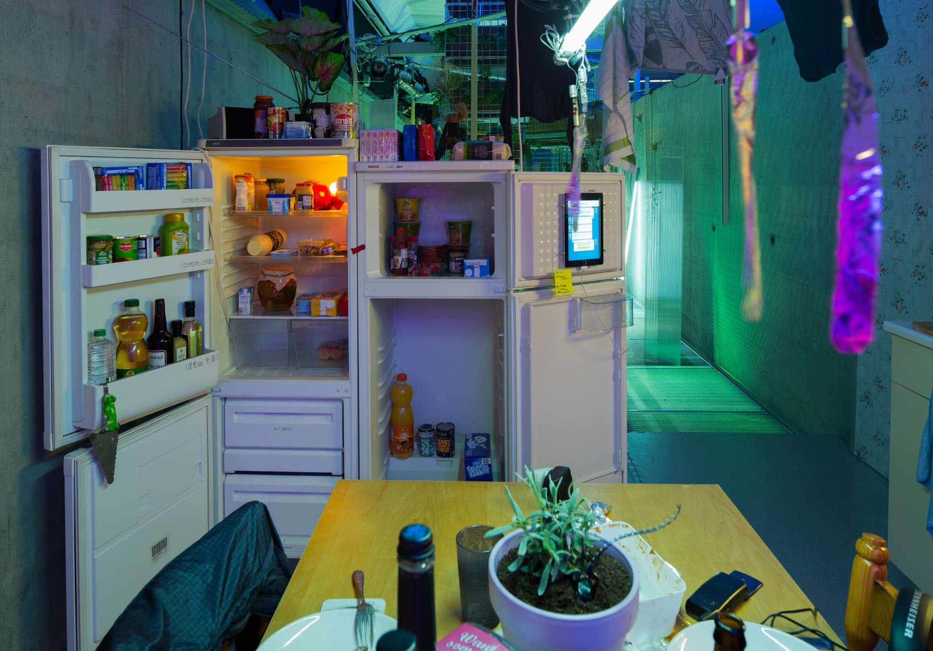Garden of Machines. Photo Johannes Schwartz