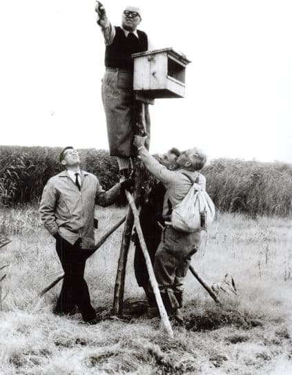 De foto van Van Eesteren symboliseert de ontwerper die in zijn werk wordt ondersteund door wetenschappelijke onderzoekers. 