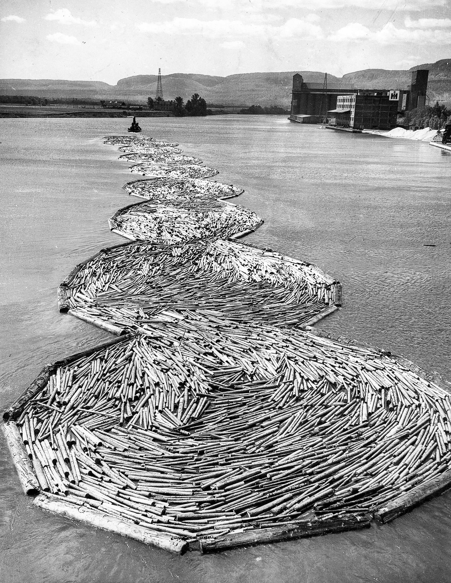 Transport of tree-trunks, Canada, 1950. Photographer unknown. Collection AKG 