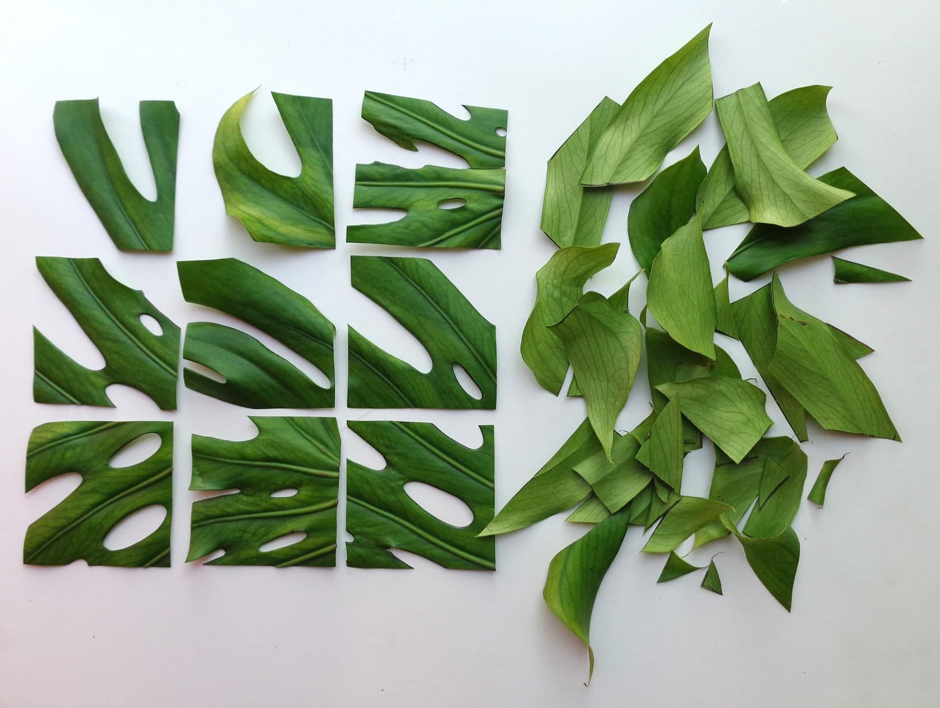 Work by Aliki van der Kruijs for New Window by Woes van Haaften. Photo Aliki van der Kruijs 