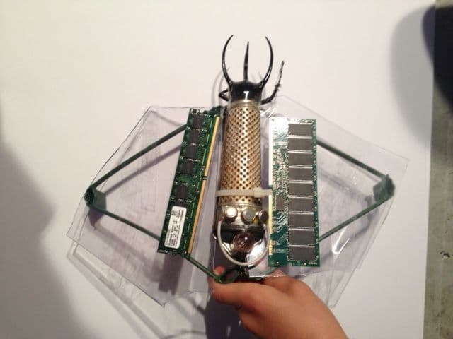 Alice Leroy, bug glider 
