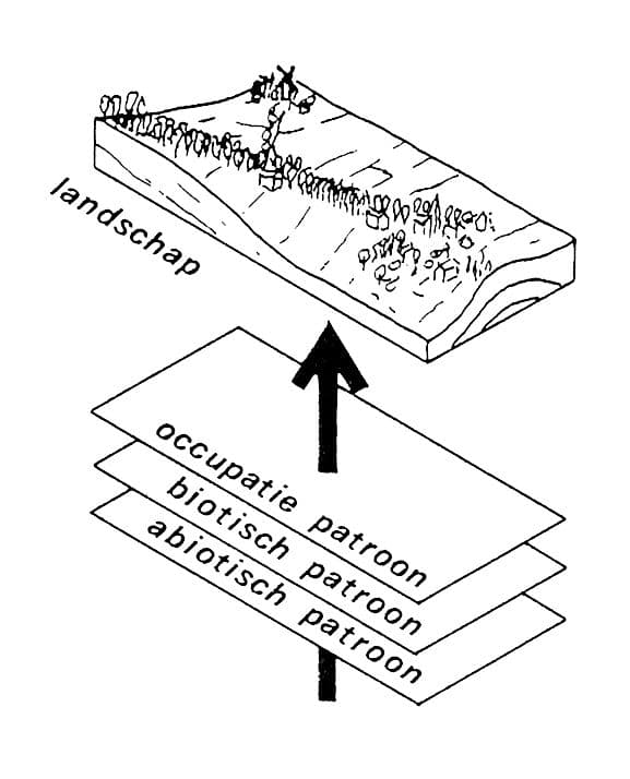  Model uit Wageningen voor een drieledige analyse van het landschap waarin a-biotische, biotische en occupatiepatronen inzichtelijk worden gemaakt. 