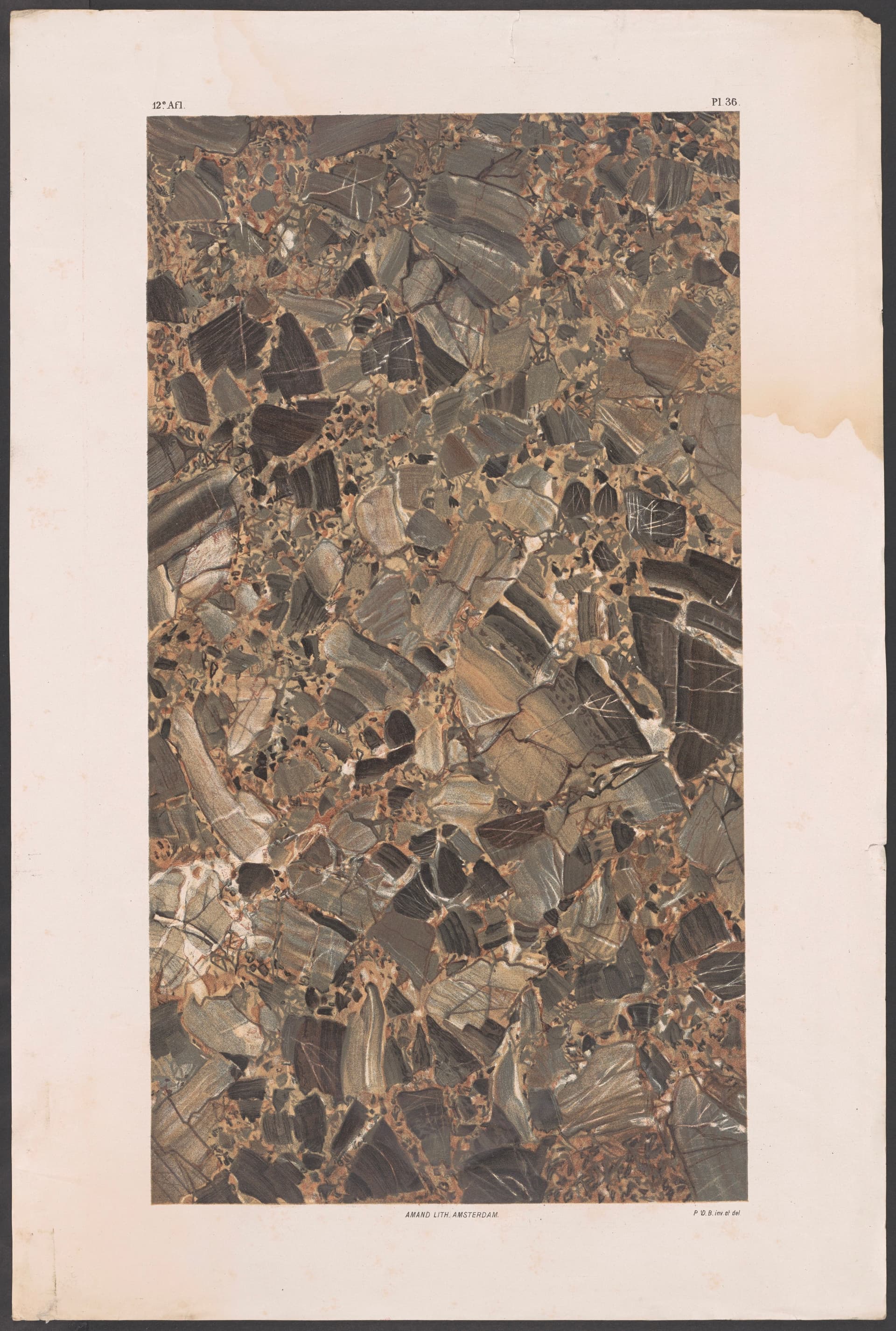 Voorbeelden in kleurendruk vervaardigd aan de Koninklijke Stoomsteendrukkerij Amand Amsterdam, door gebr. A.R. & P. van der Burg. Uitgever Bazendijk Rotterdam 1876. 12 afl. (36 bl.pl.) 