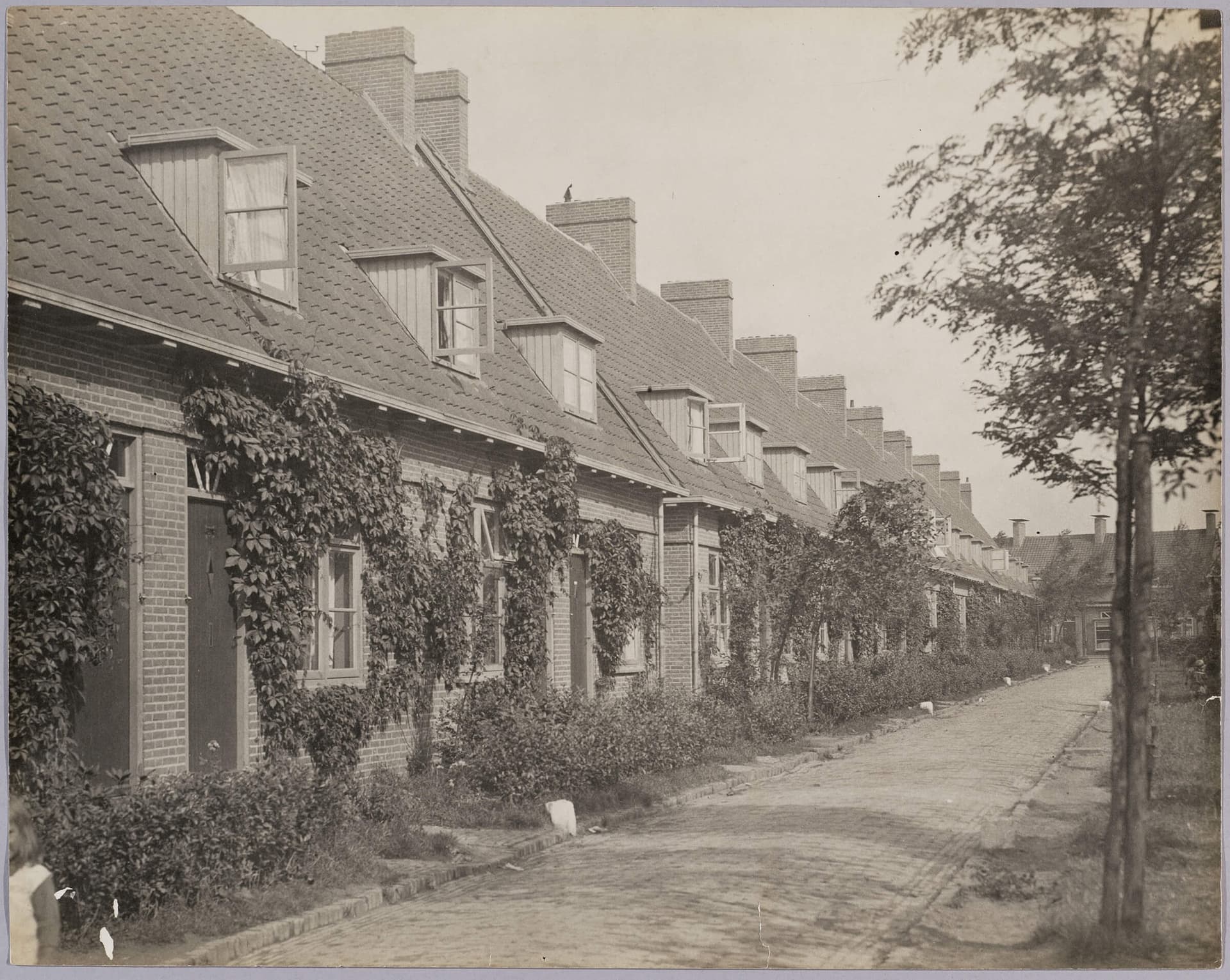 In het fotoarchief van de Tentoonstellingsraad voor bouwkunst en verwante kunsten bevindt zich een aantal foto’s van Vreewijk. De ‘Tentoonstellingsraad’ had als doel om de ‘fine fleur’ van de Nederlandse architectuur te presenteren en te promot… 