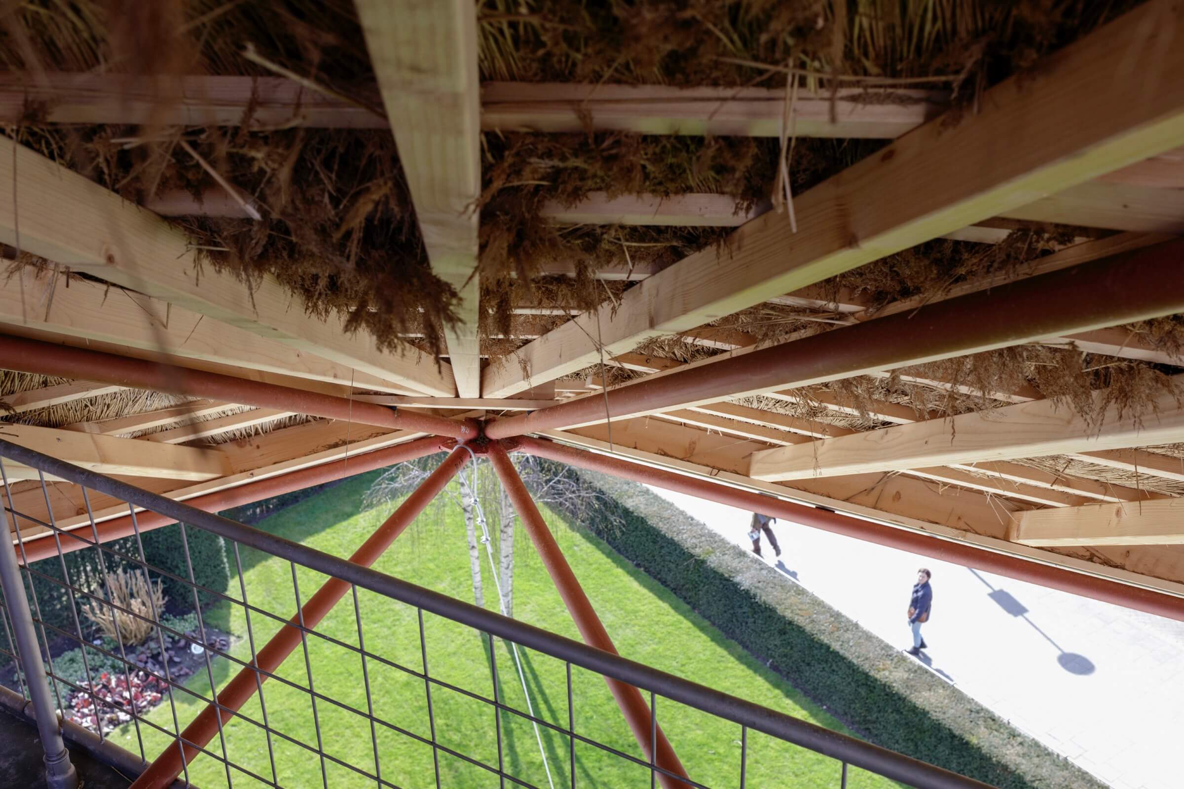 Santiago Borja. A Mental Image - Blavatsky Observatory. Photo Johannes Schwartz 