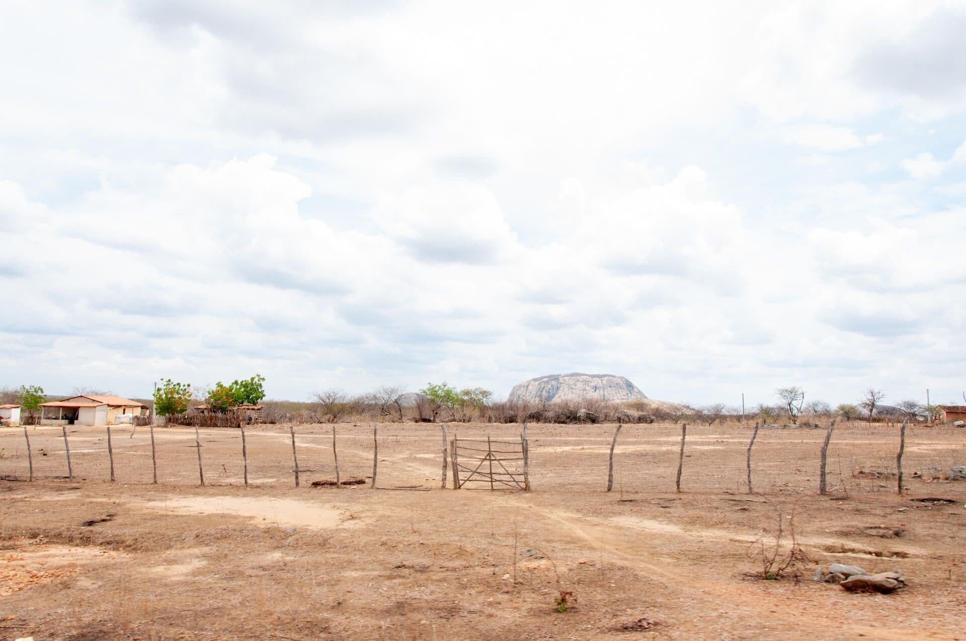 Dry land in January. Photo credit: O grupo inteiro. 