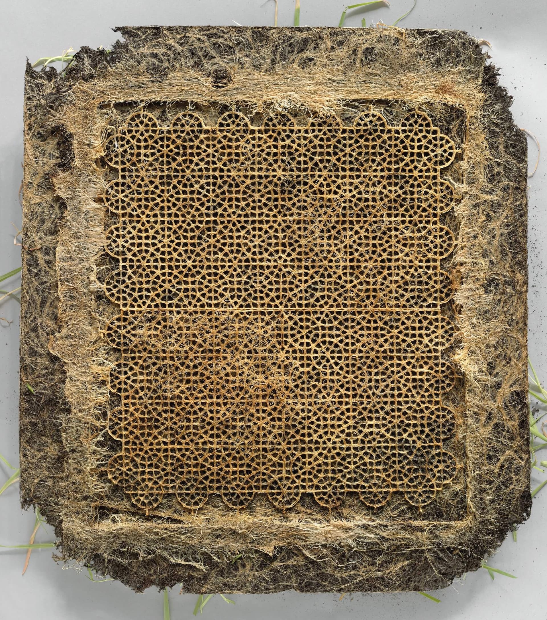 Diana Scherer, InterWoven 