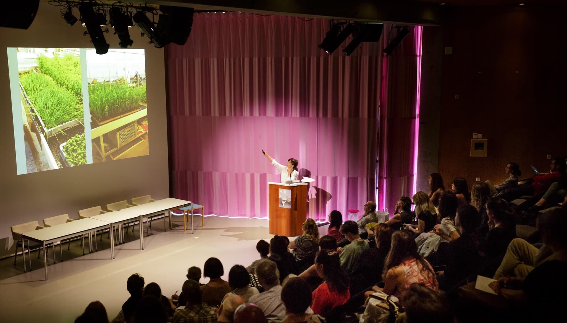 New Material Fellow Diana Scherer. Conference Alive. Active. Adaptive. Photo Fred Ernst 